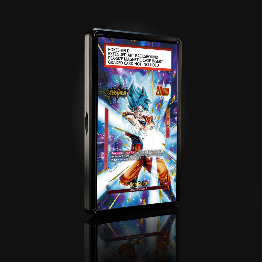 Son Goku FB01-001 L★ Extended Art Display
