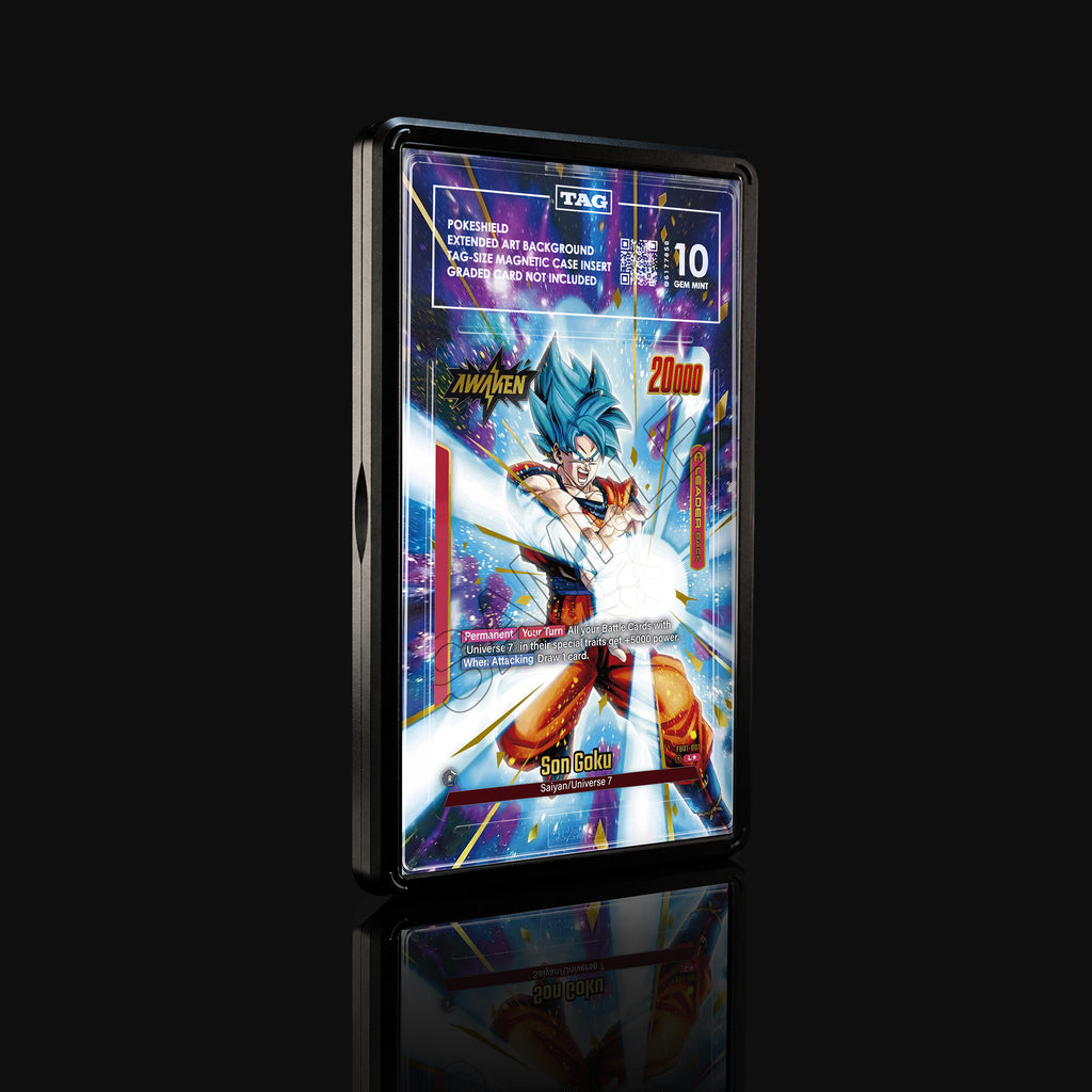 Son Goku FB01-001 L★ Extended Art Display