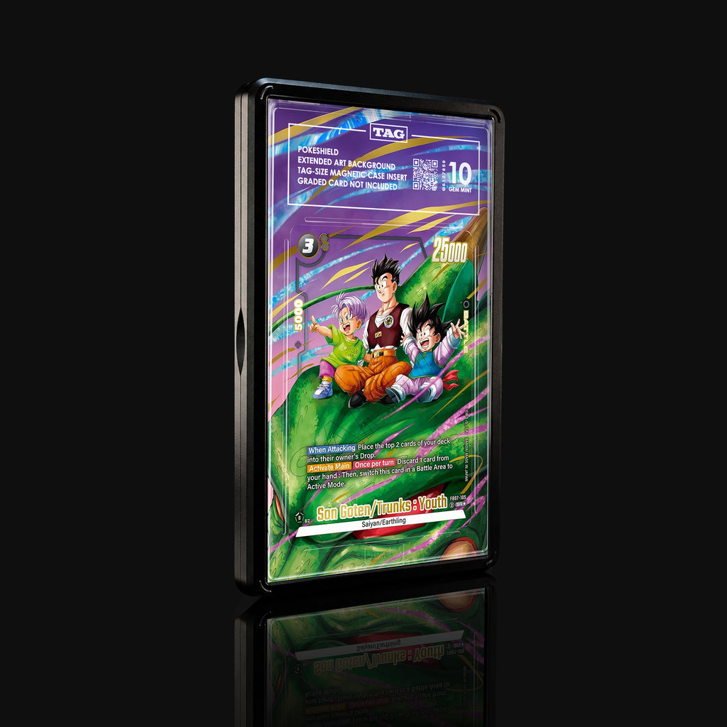 Son Goten/Trunks : Youth FB07-105 SR★ Extended Art Display