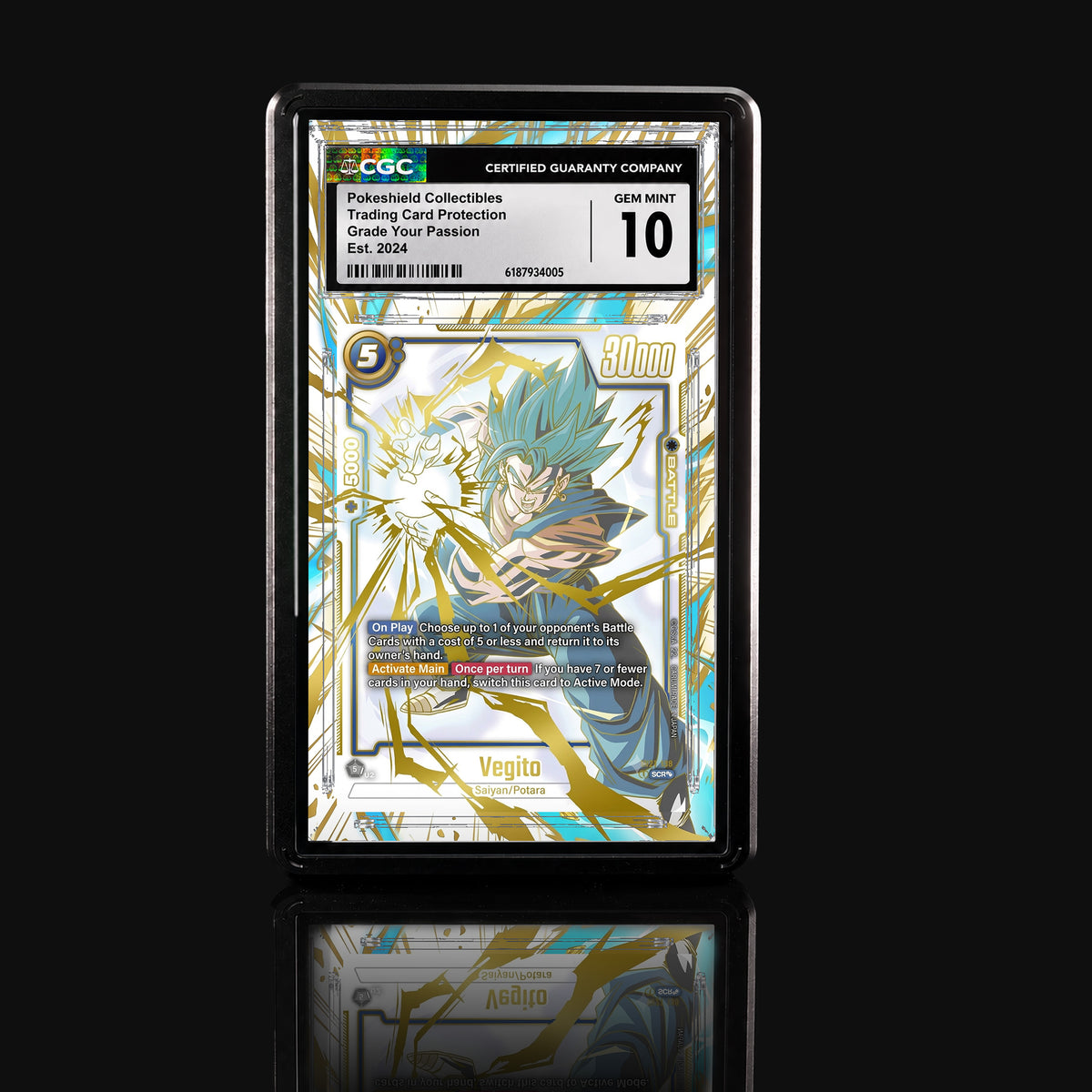 Vegito 127 Extended Art Display