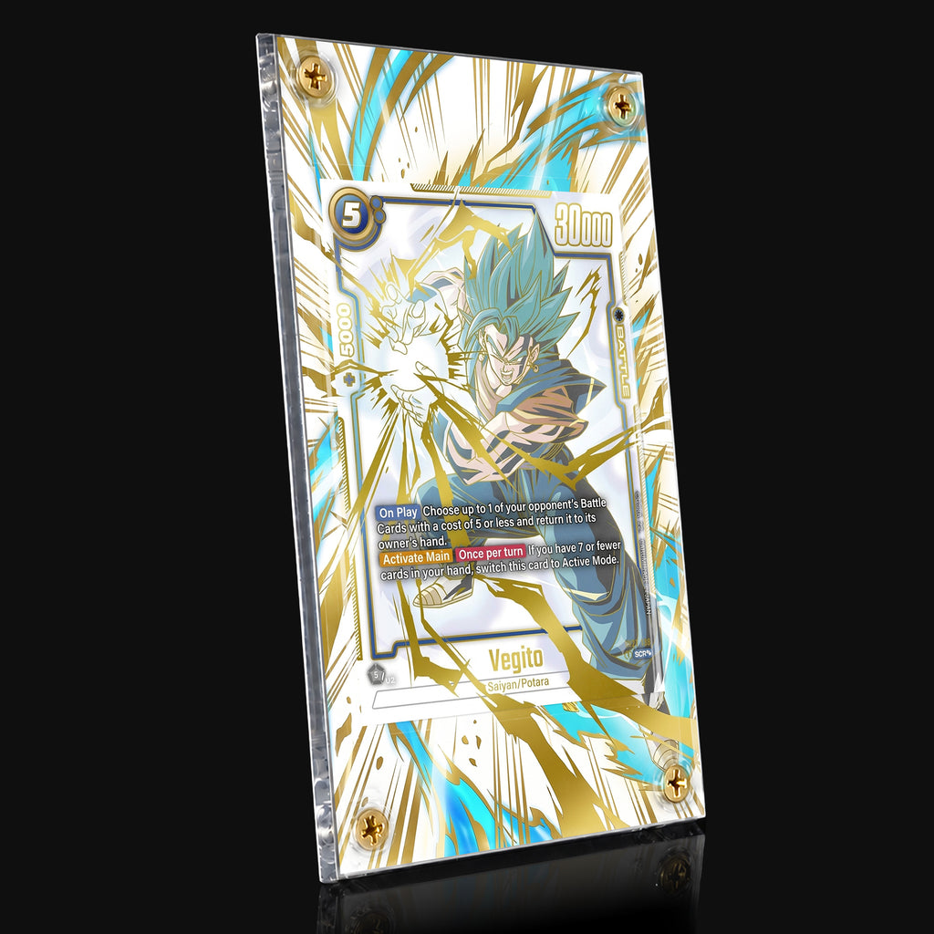 Vegito 127 Extended Art Display