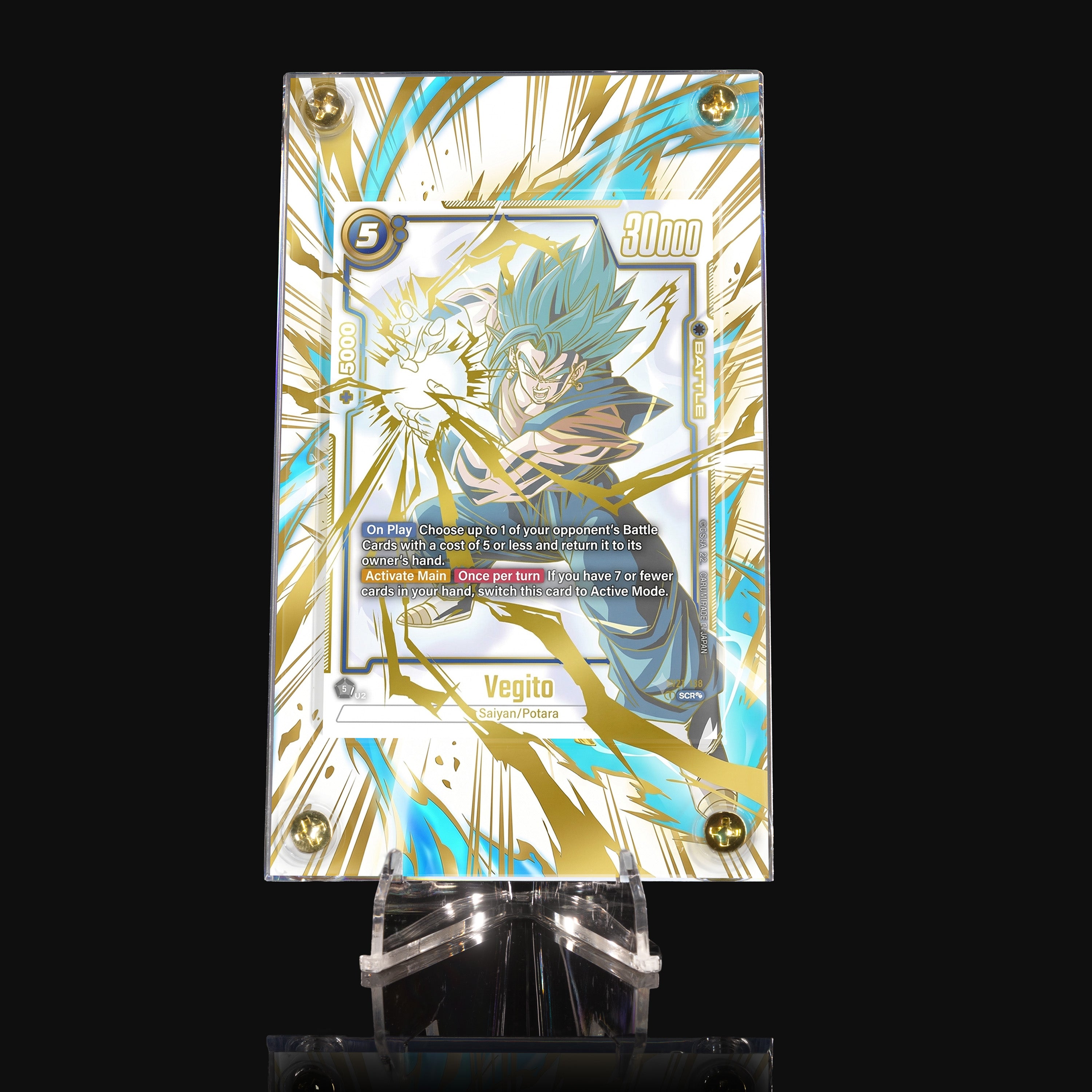 Vegito 127 Extended Art Display