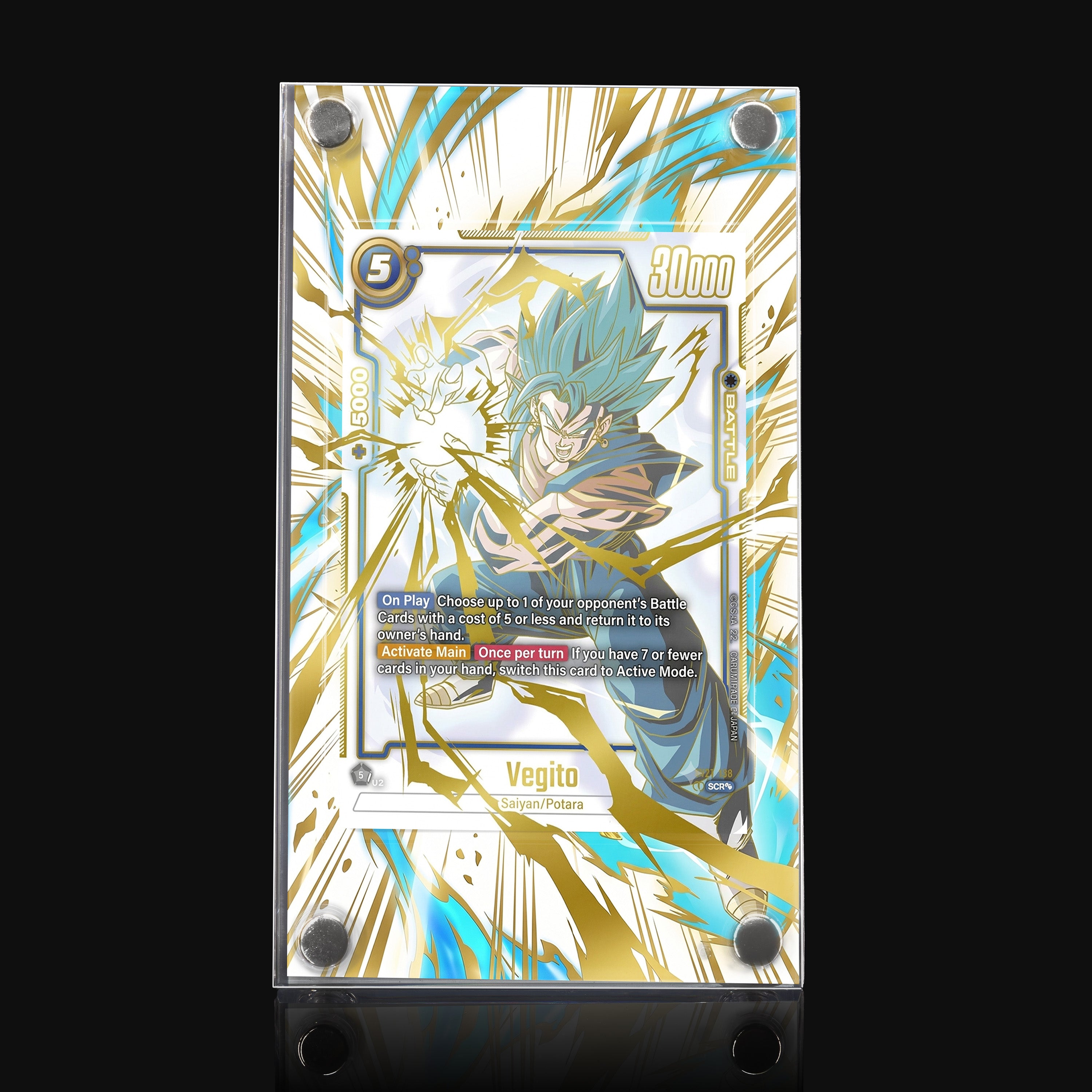 Vegito 127 Extended Art Display