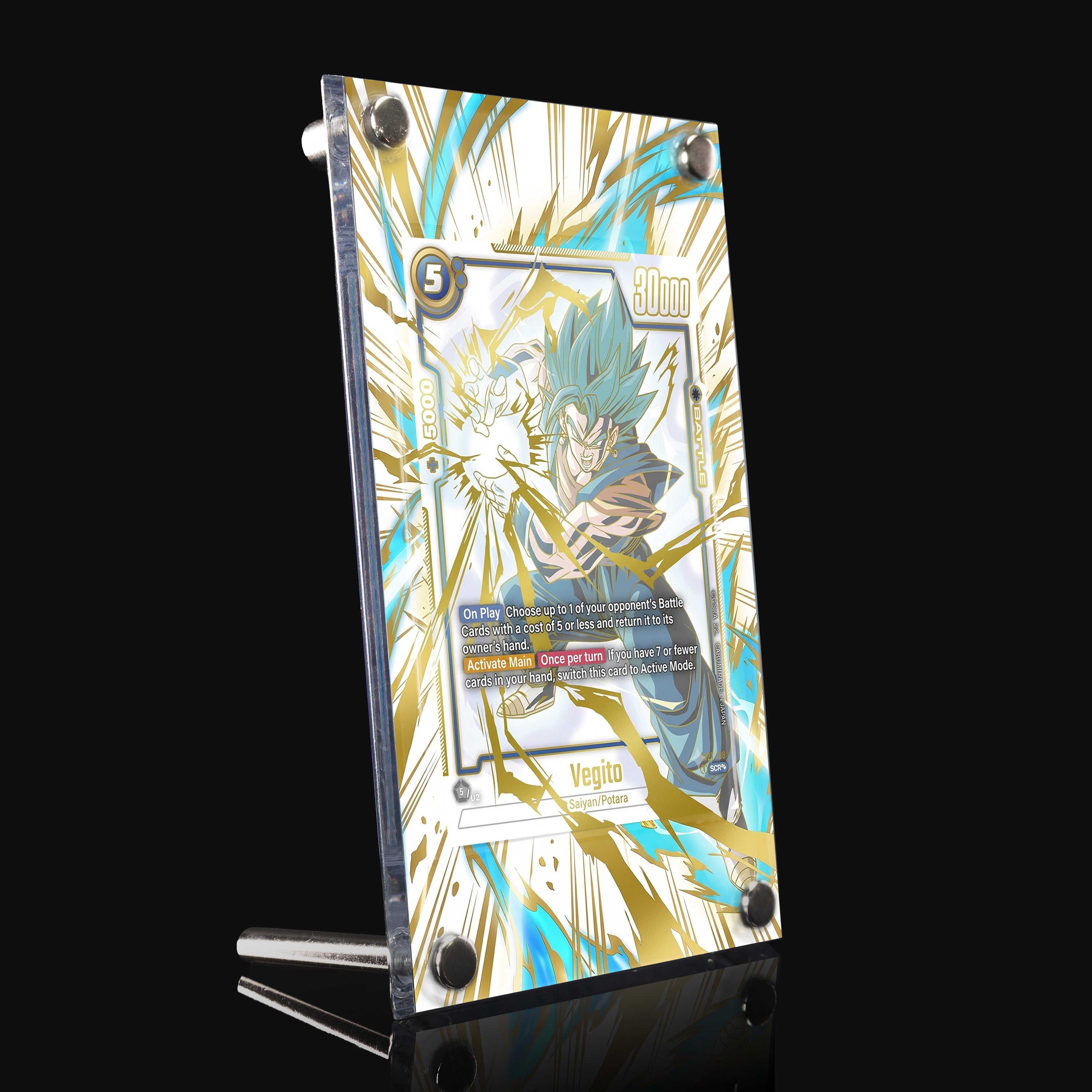 Vegito 127 Extended Art Display
