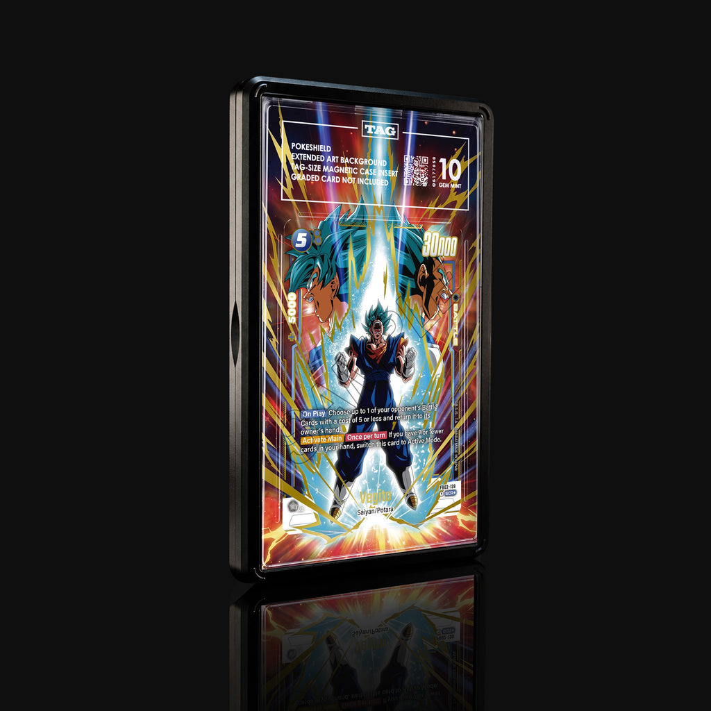 Vegito FB02-139 SCR★ Extended Art Display