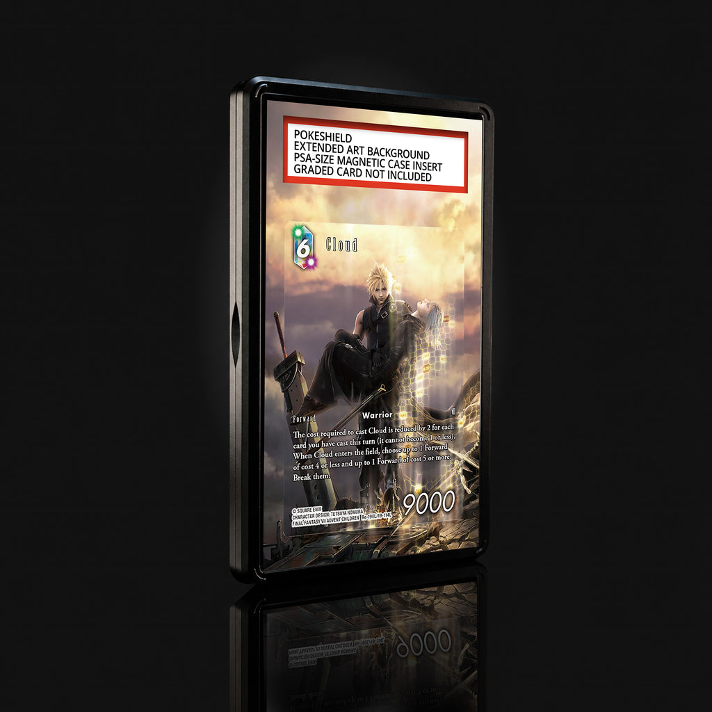 Cloud 19-114L Extended Art Display