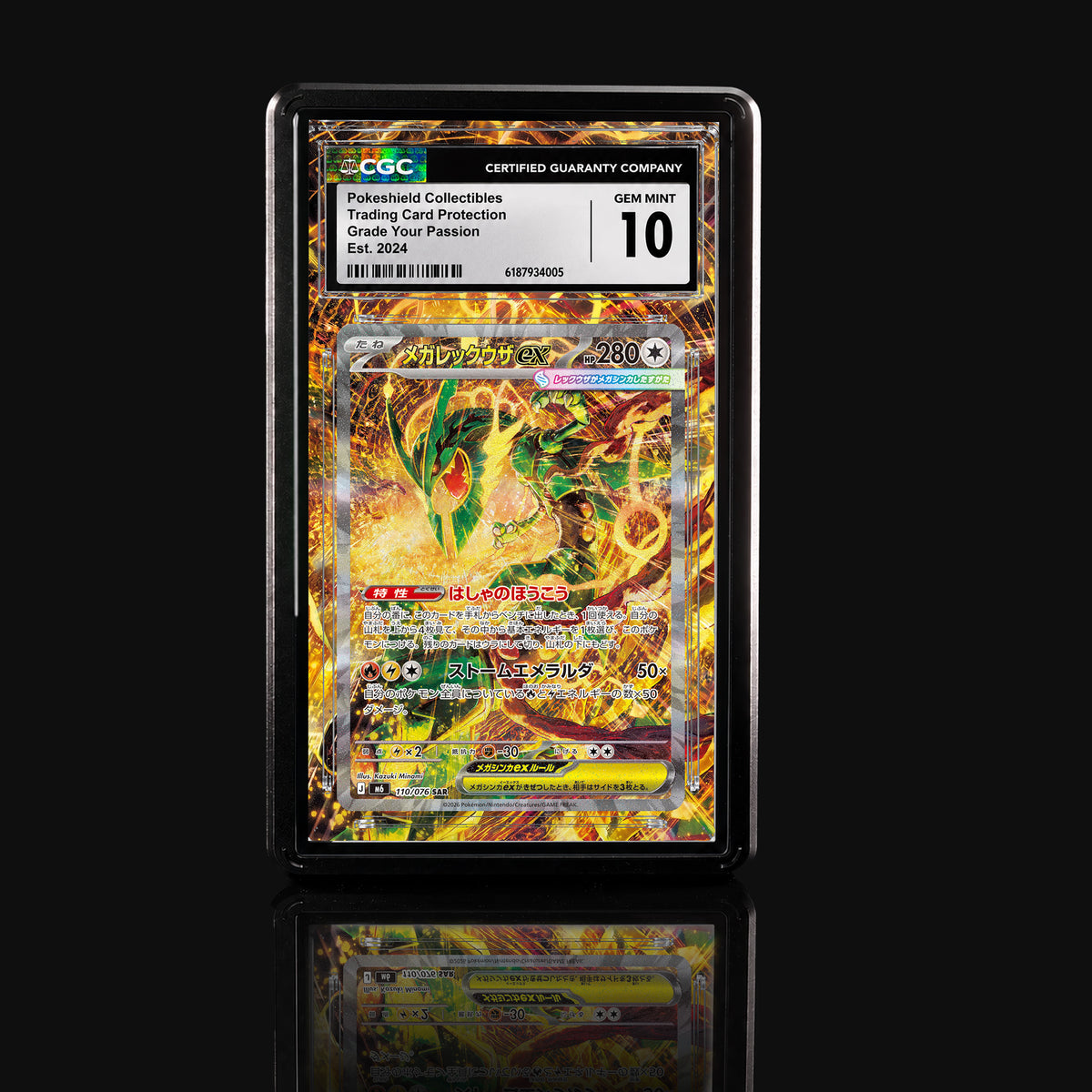 Mega Rayquaza ex 110/076 SAR Extended Art Display