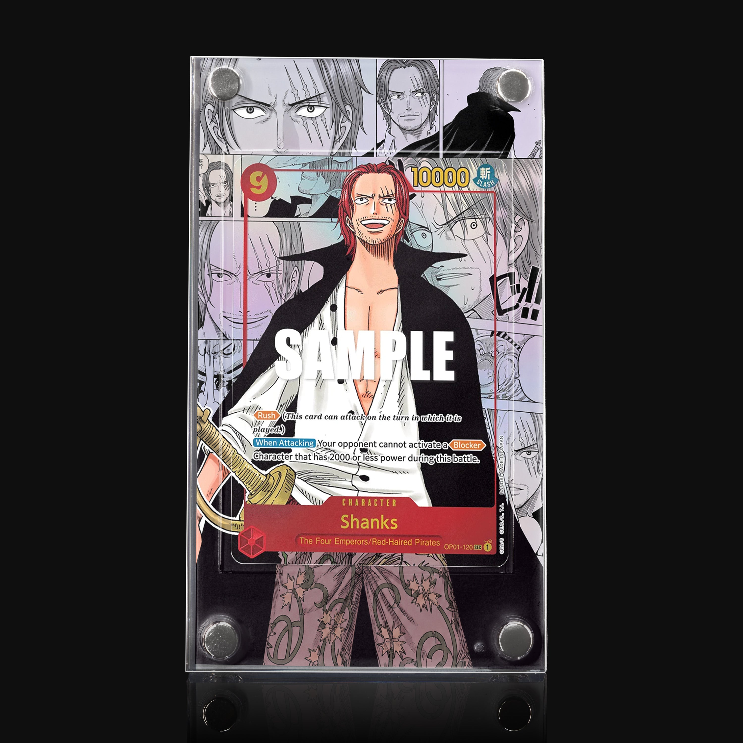 Shanks OP01-120 Extended Art Display