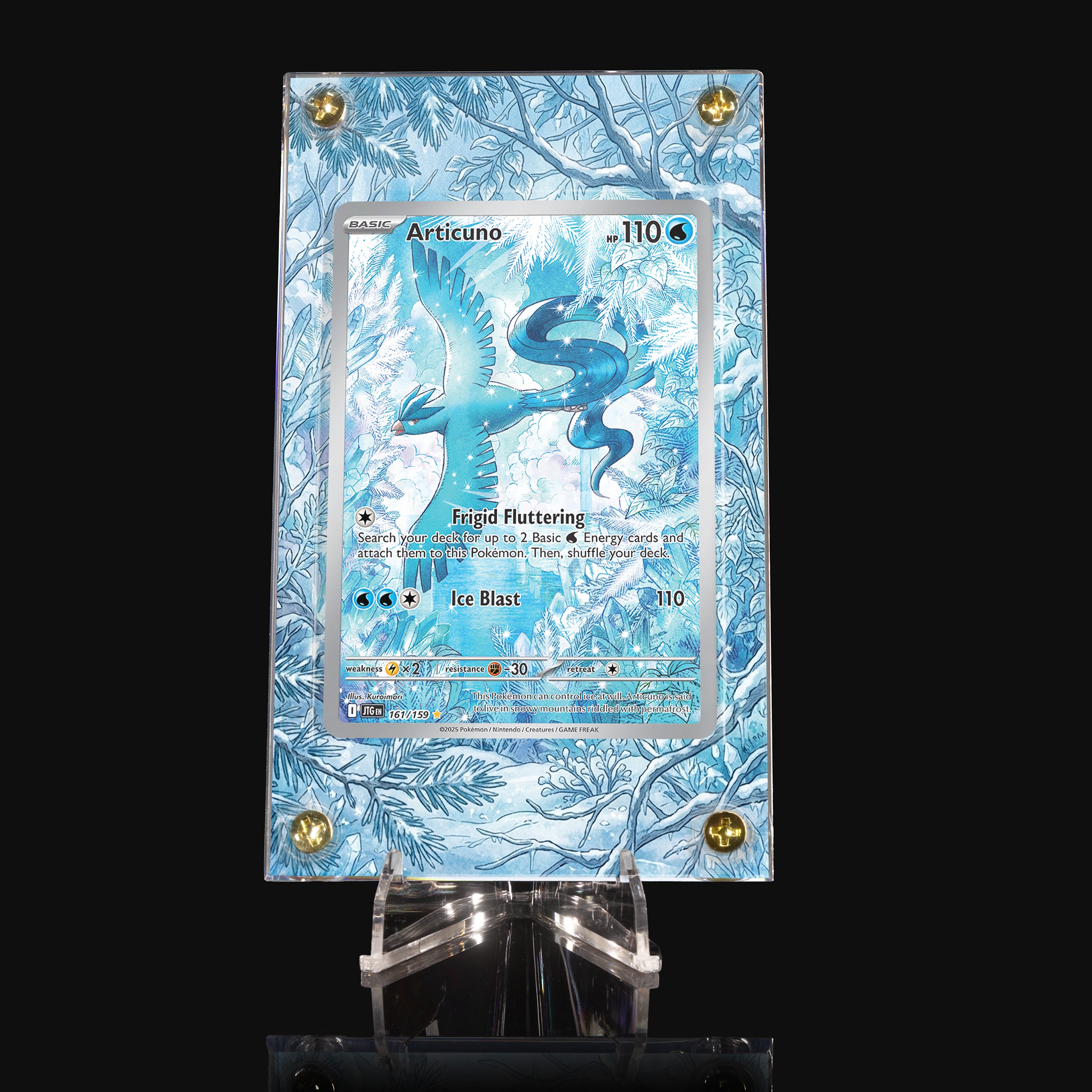 Articuno 161 Extended Art Display