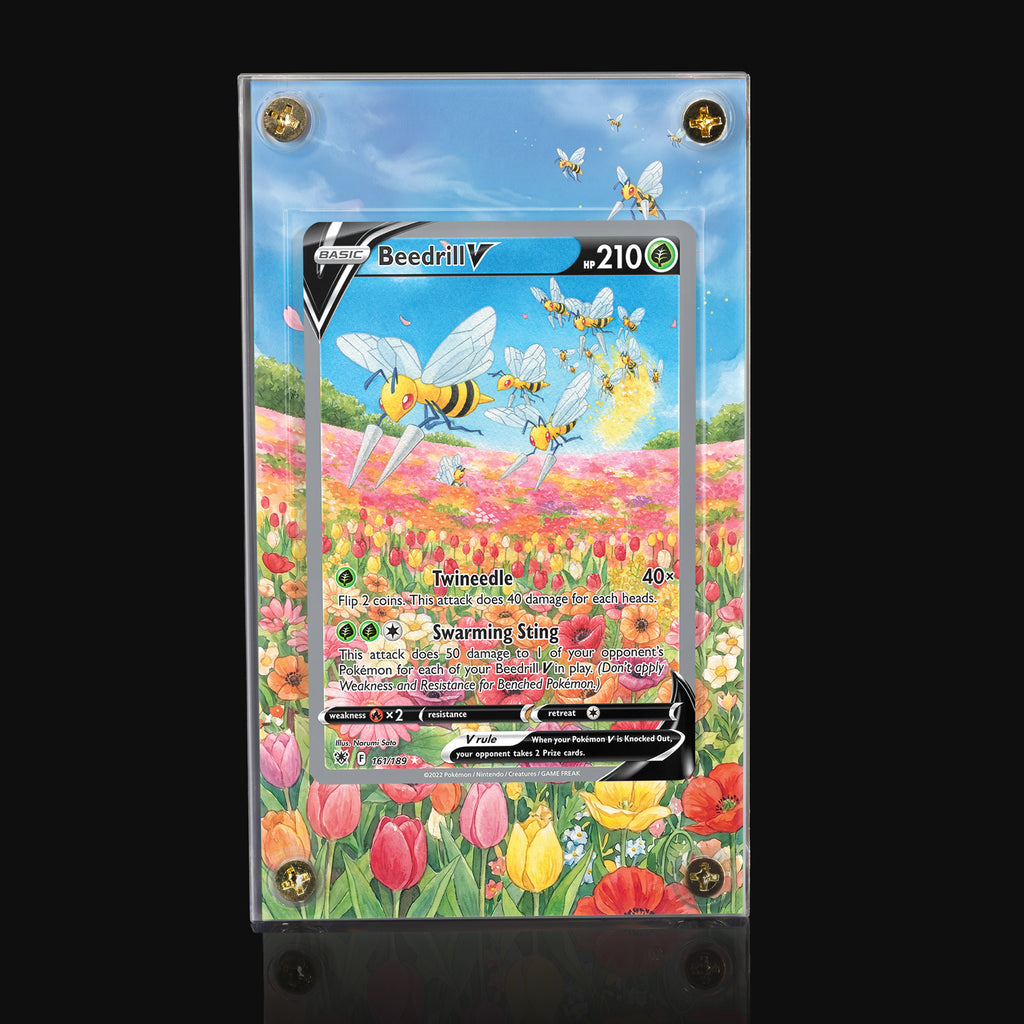 Beedrill V 161 Extended Art Display