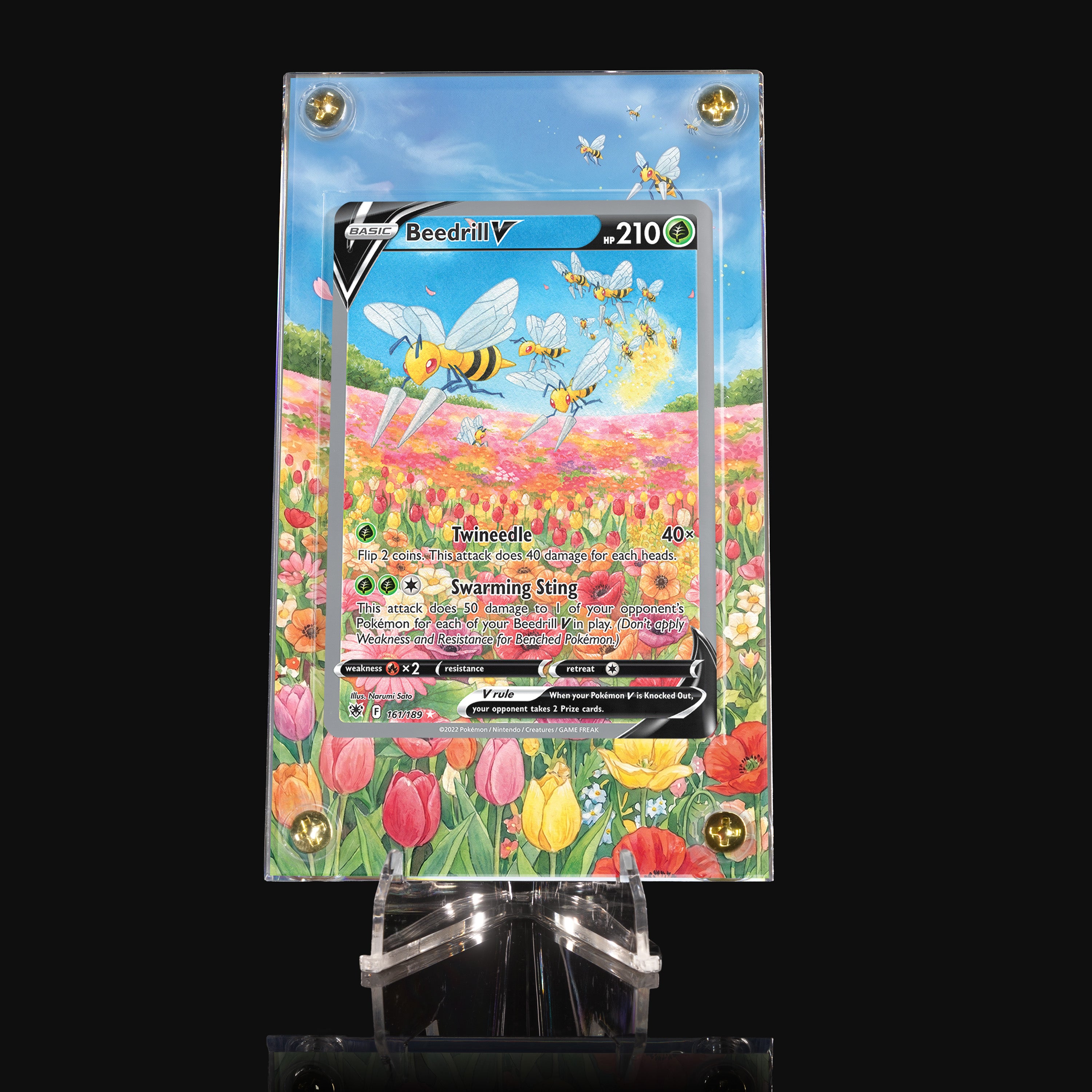 Beedrill V 161 Extended Art Display