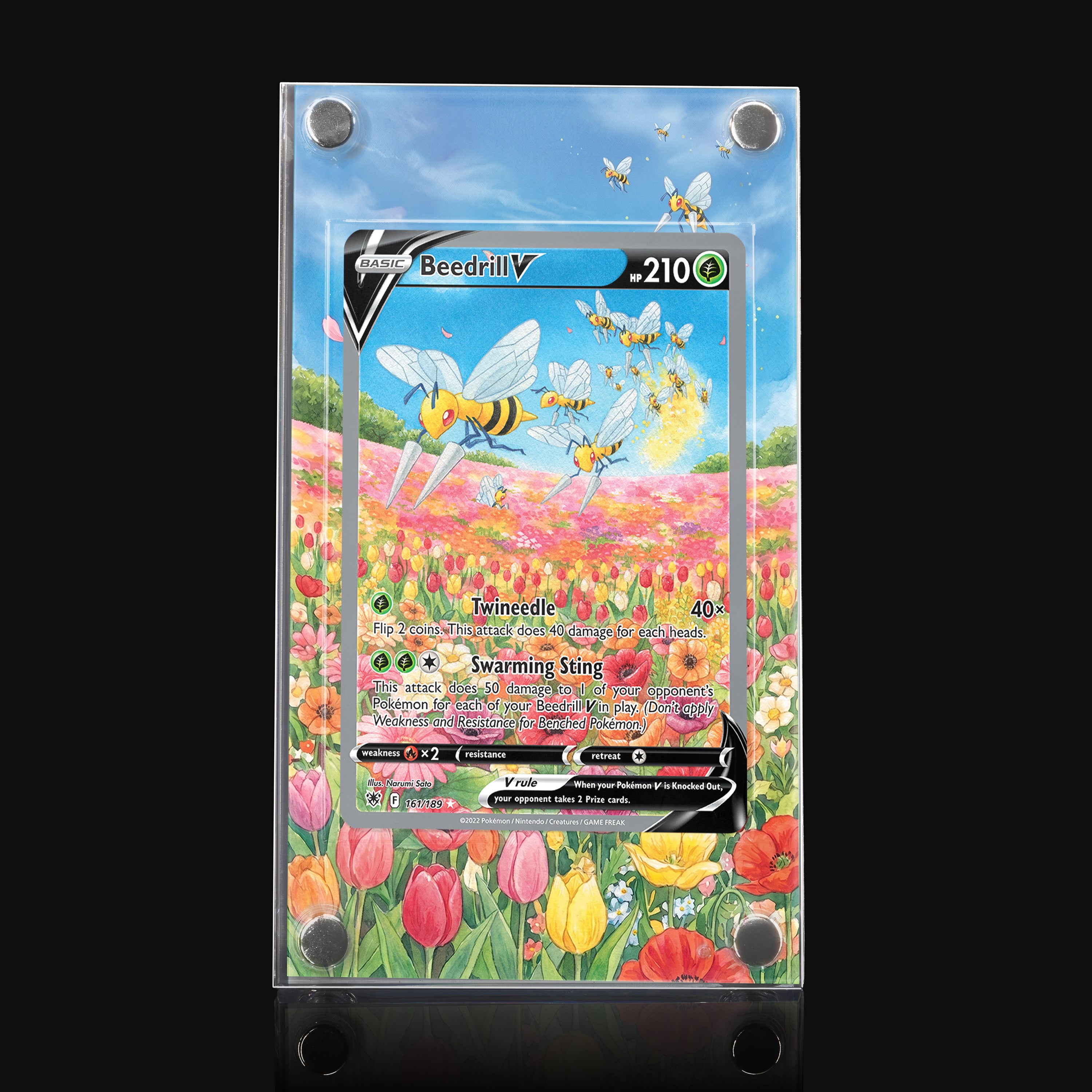 Beedrill V 161 Extended Art Display