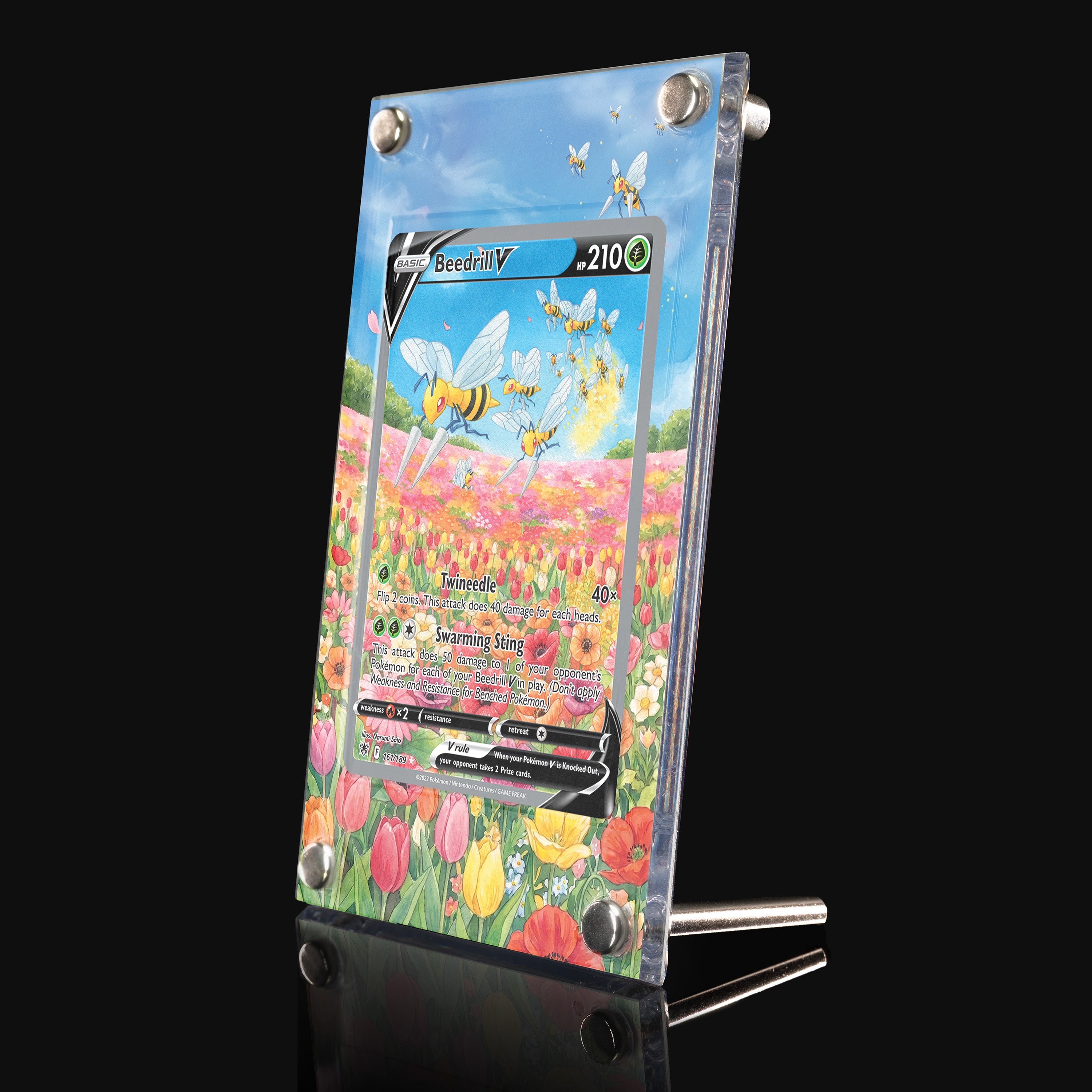 Beedrill V 161 Extended Art Display