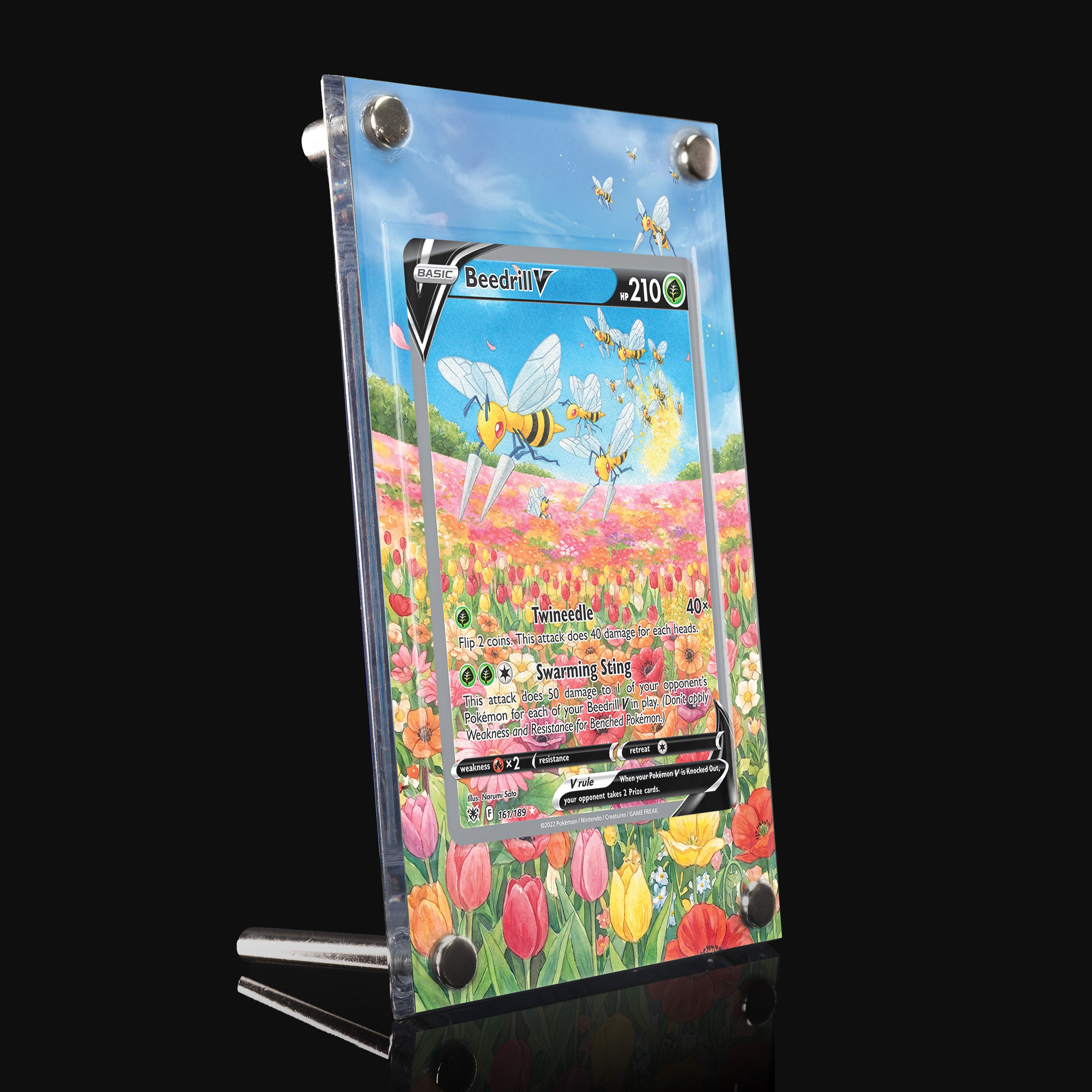 Beedrill V 161 Extended Art Display