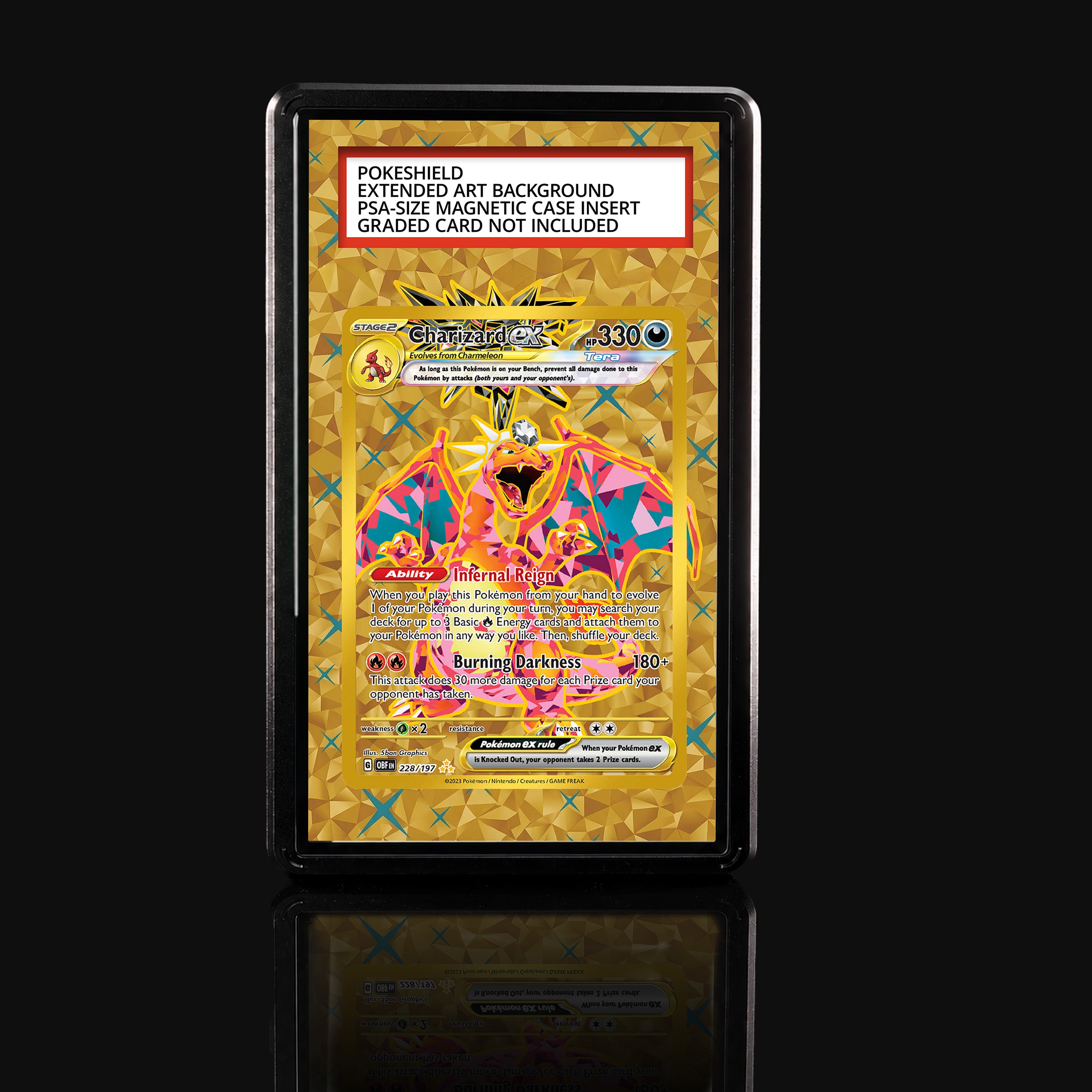 Charizard ex 228 Extended Art Display