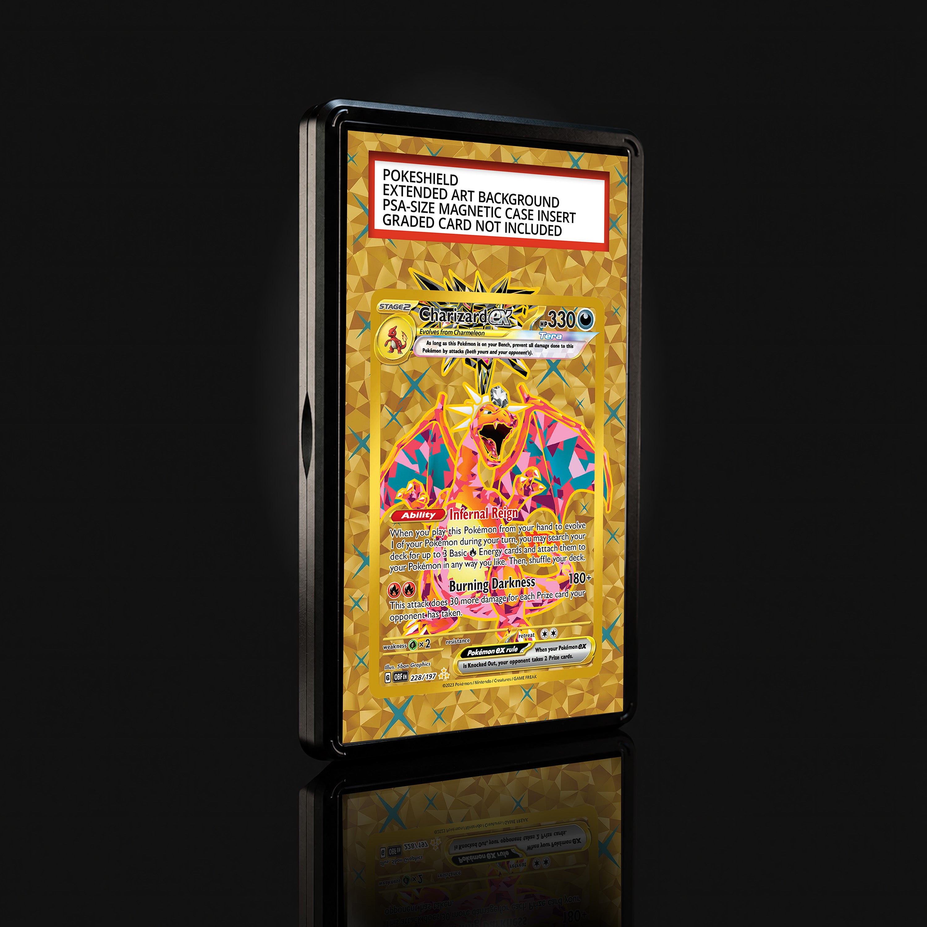 Charizard ex 228 Extended Art Display