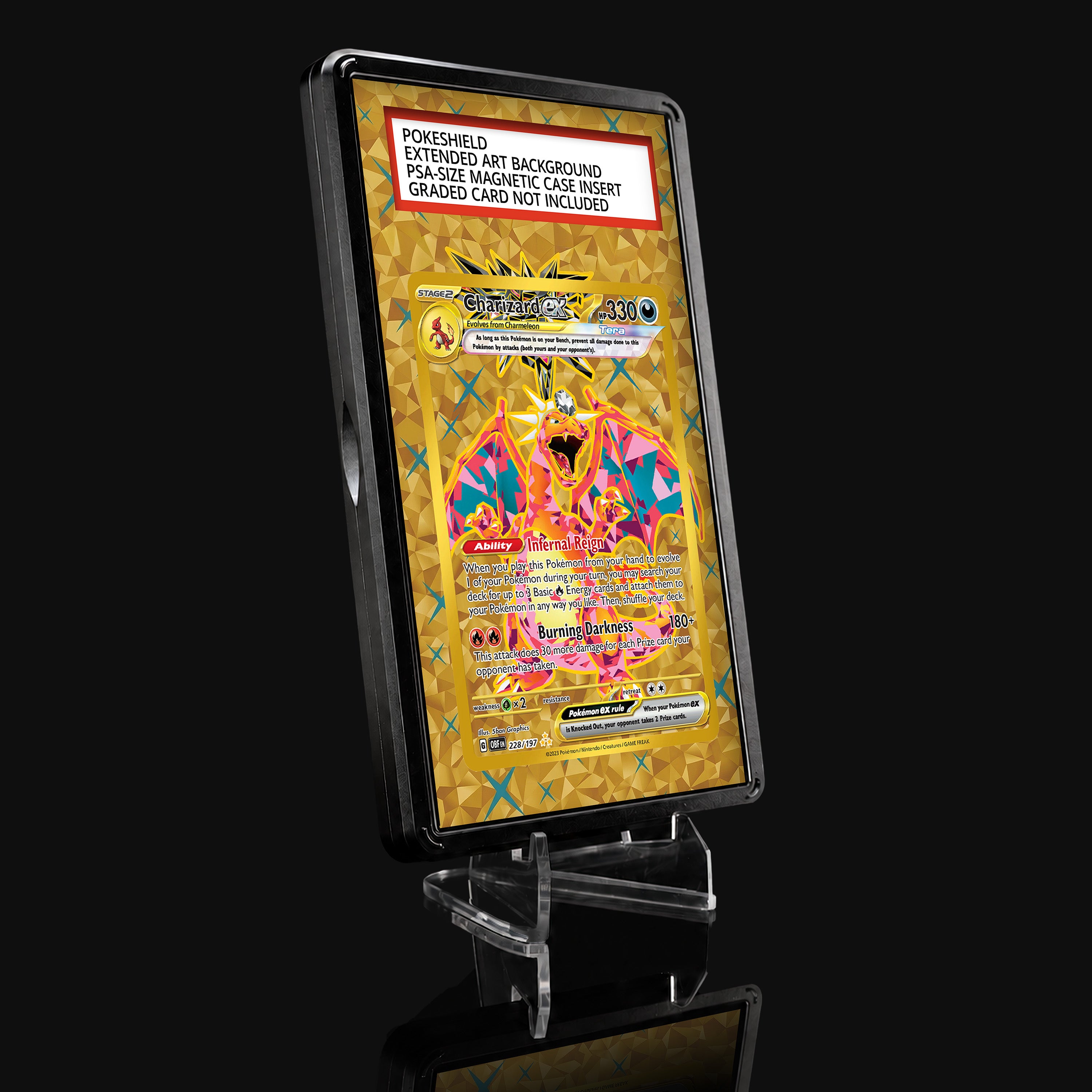 Charizard ex 228 Extended Art Display