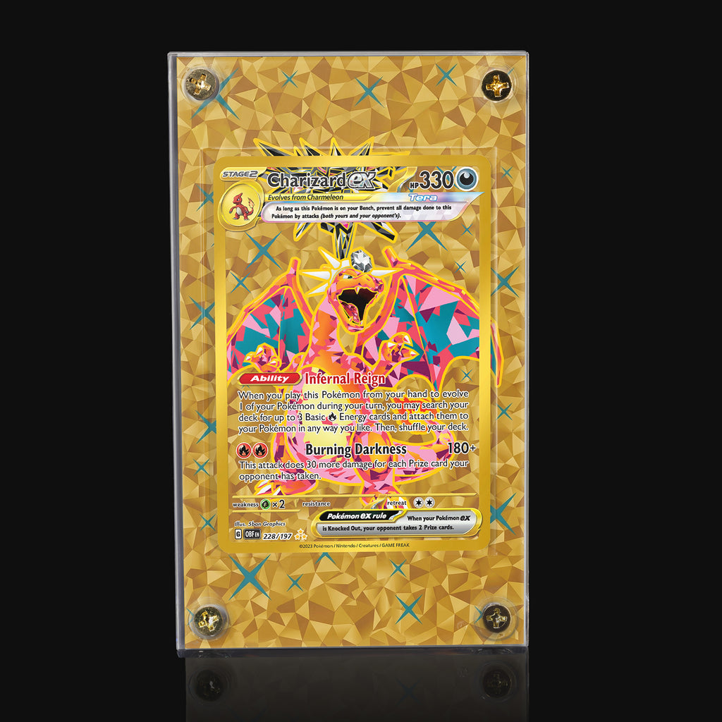 Charizard ex 228 Extended Art Display