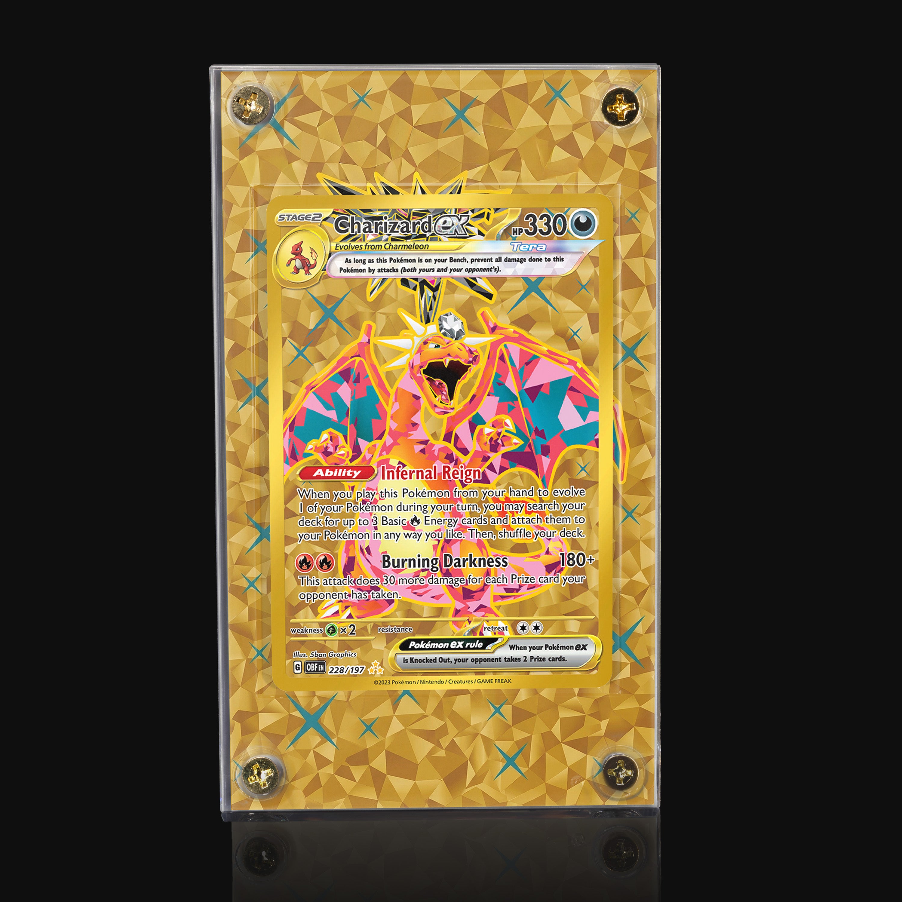 Charizard ex 228 Extended Art Display