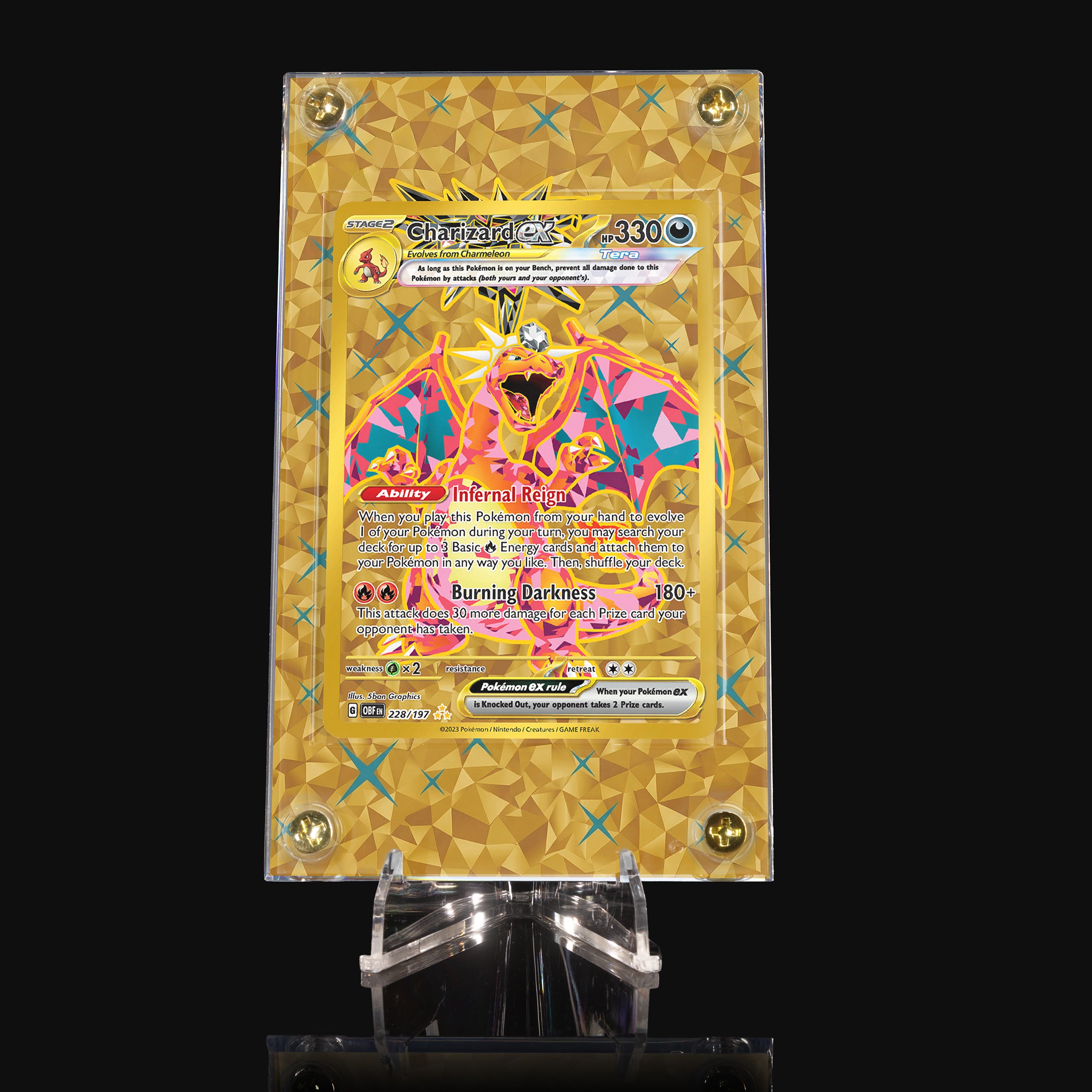 Charizard ex 228 Extended Art Display