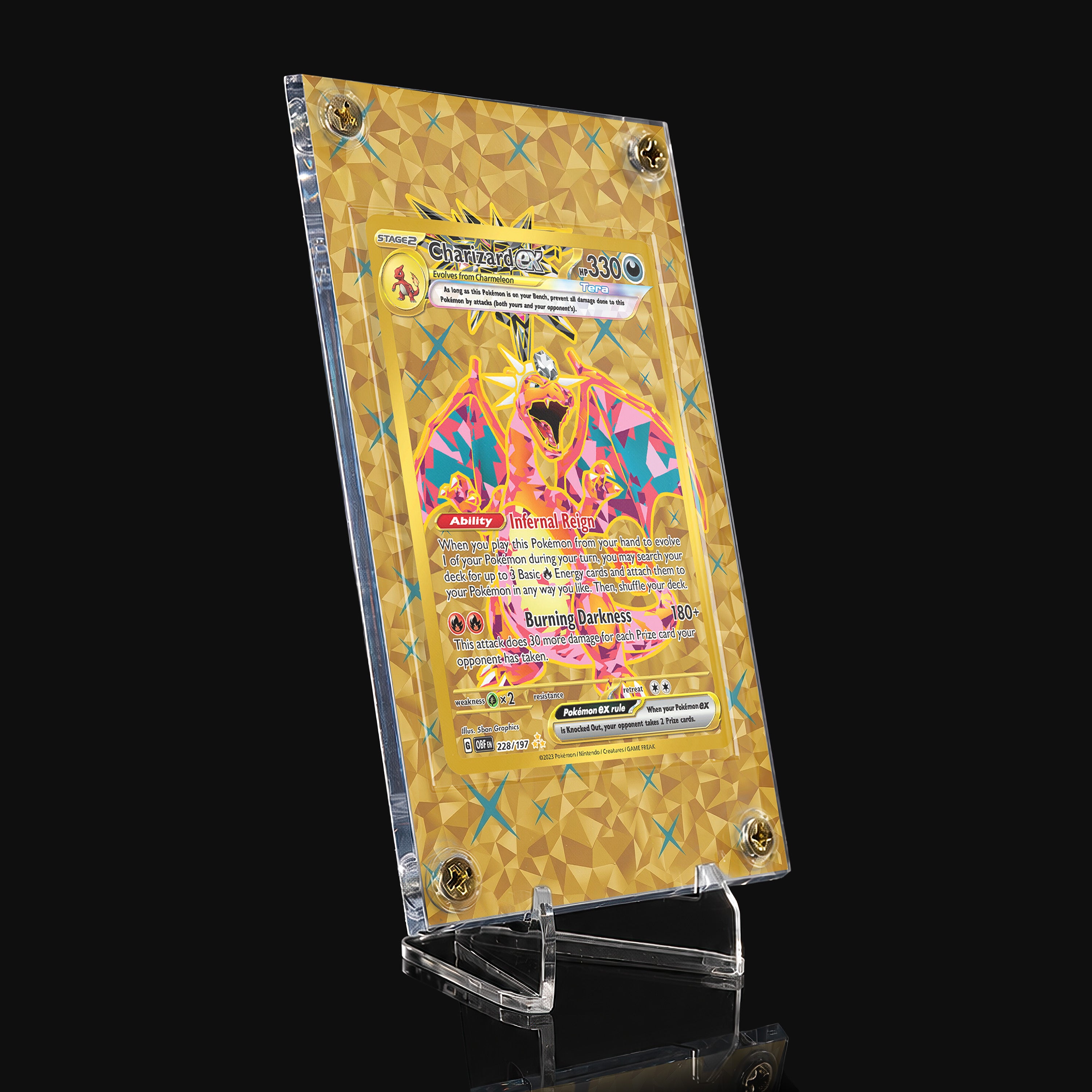 Charizard ex 228 Extended Art Display