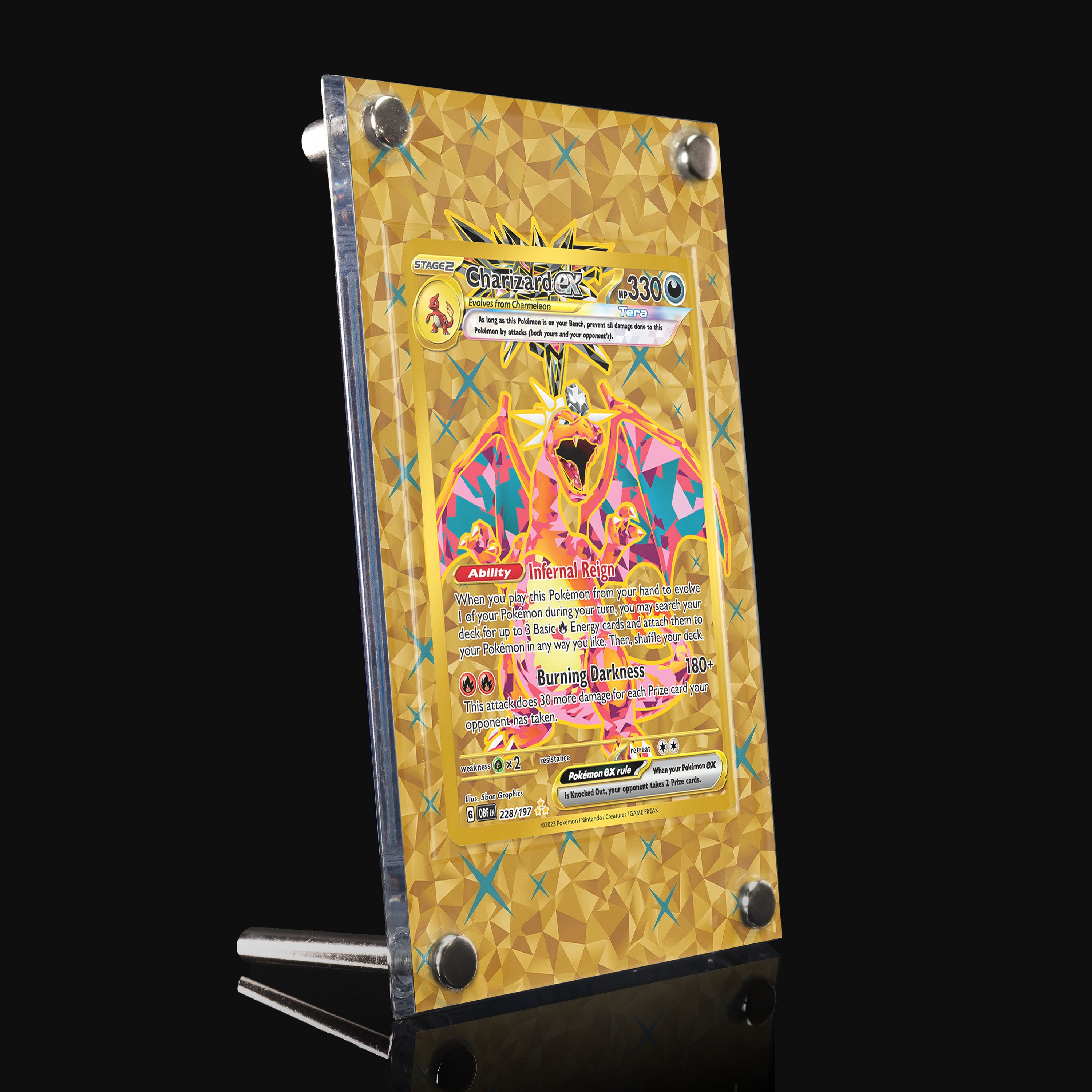 Charizard ex 228 Extended Art Display