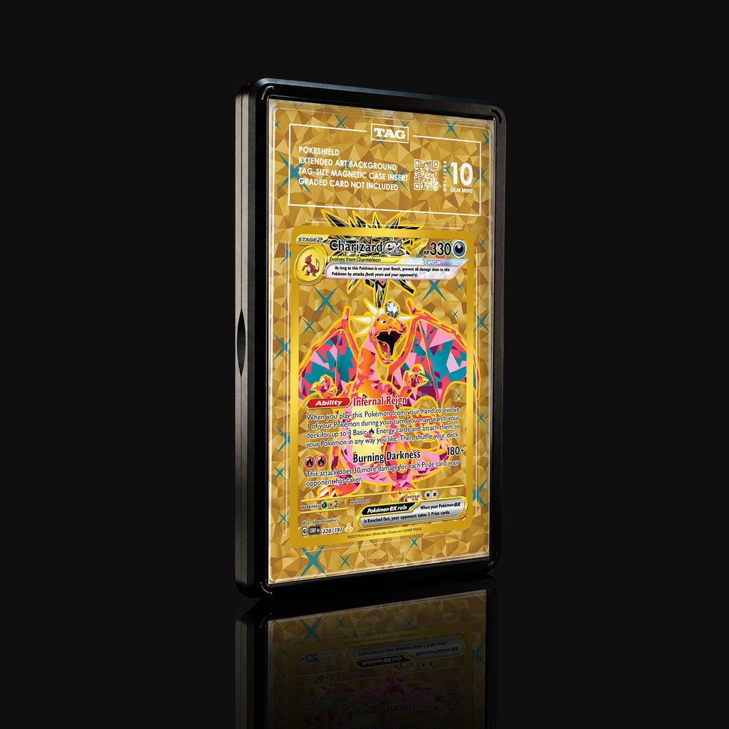 Charizard ex 228 Extended Art Display