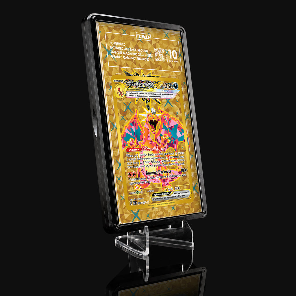 Charizard ex 228 Extended Art Display