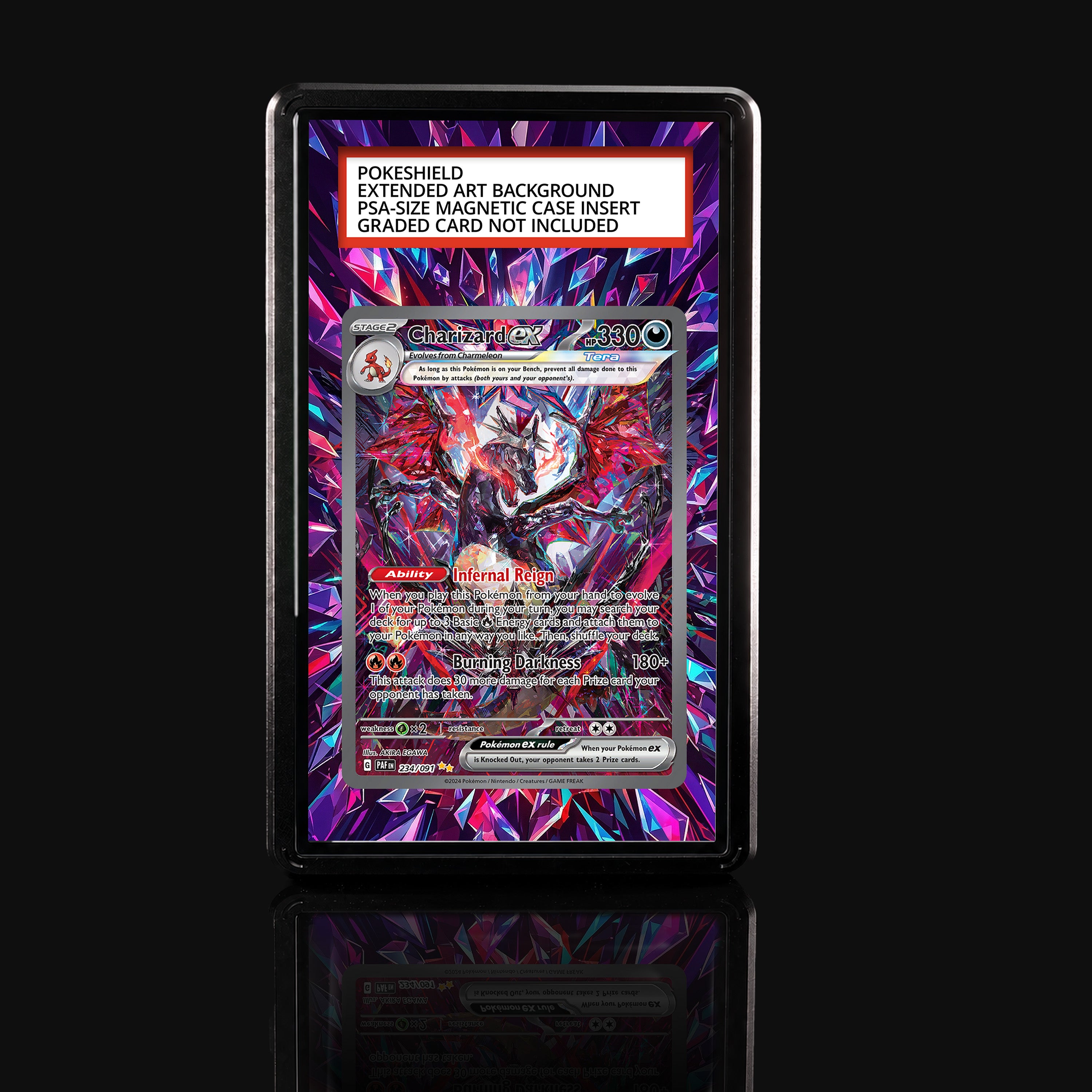 Charizard ex 234 Extended Art Display