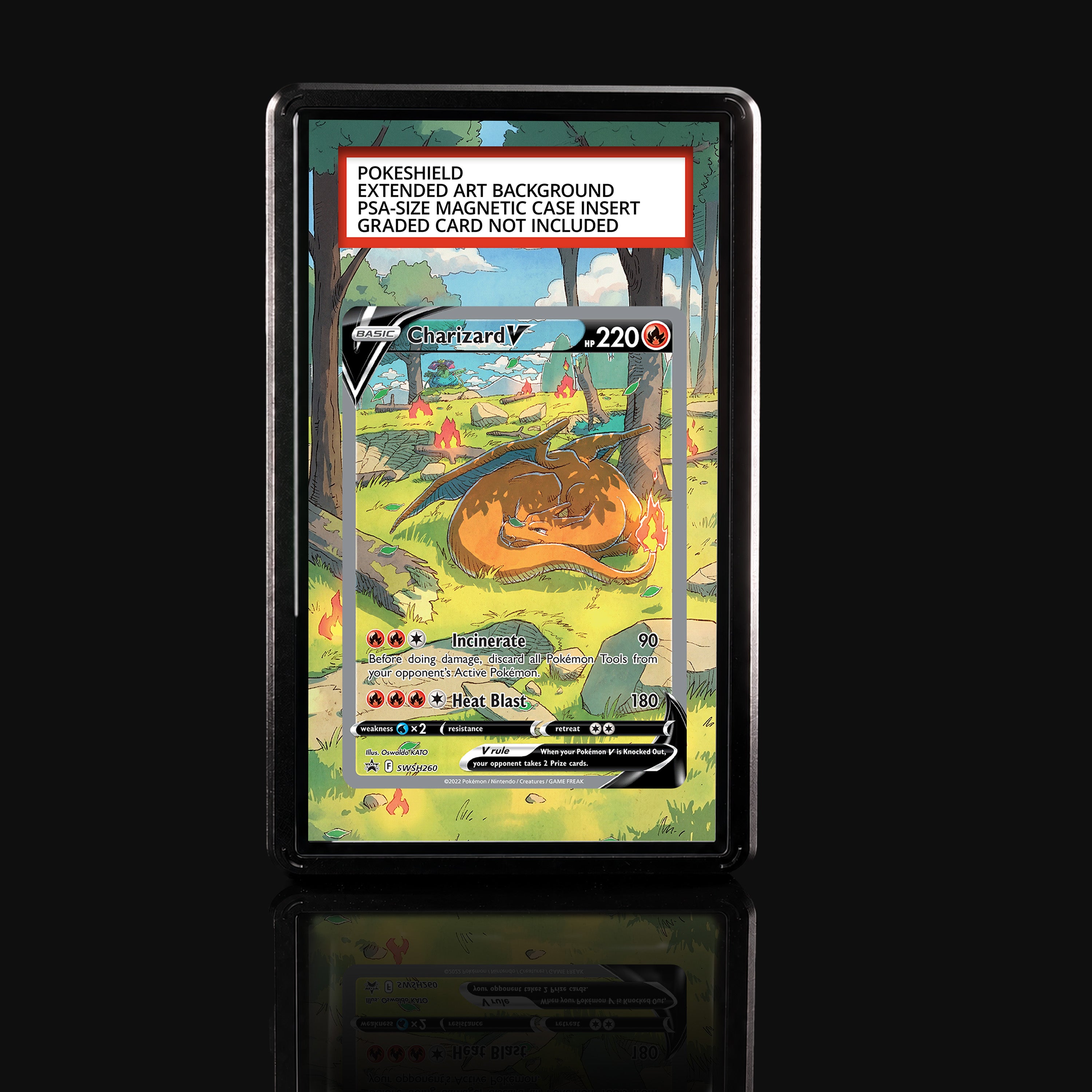 Charizard V SWSH260 Extended Art Display
