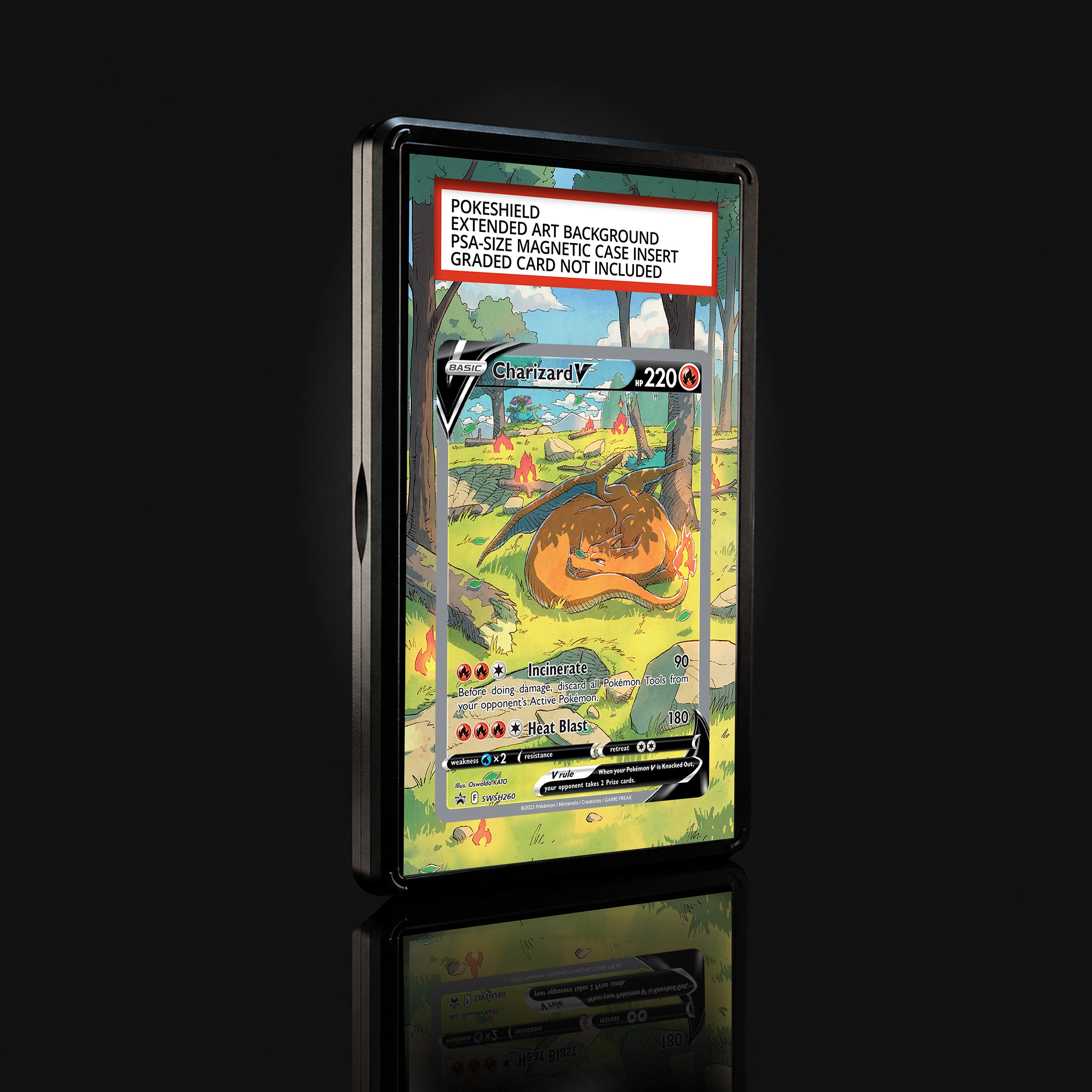Charizard V SWSH260 Extended Art Display