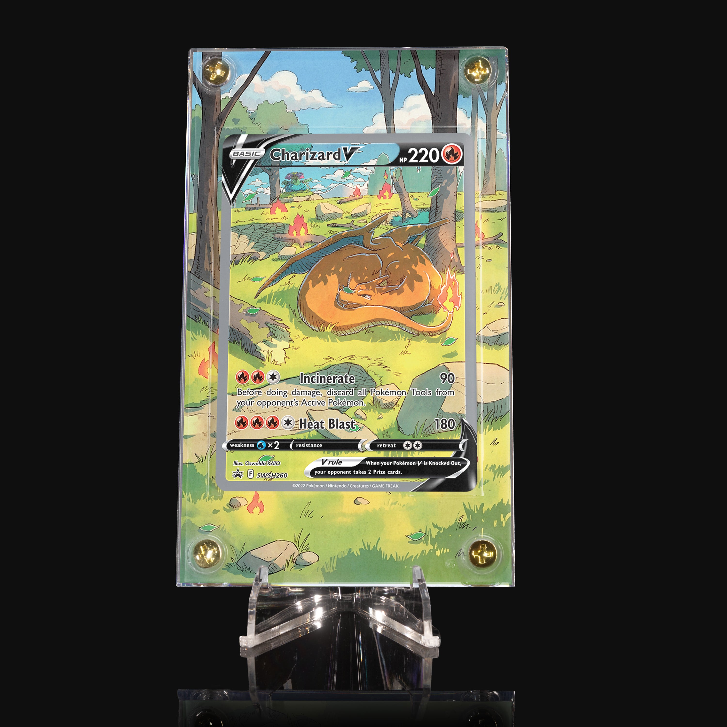 Charizard V SWSH260 Extended Art Display