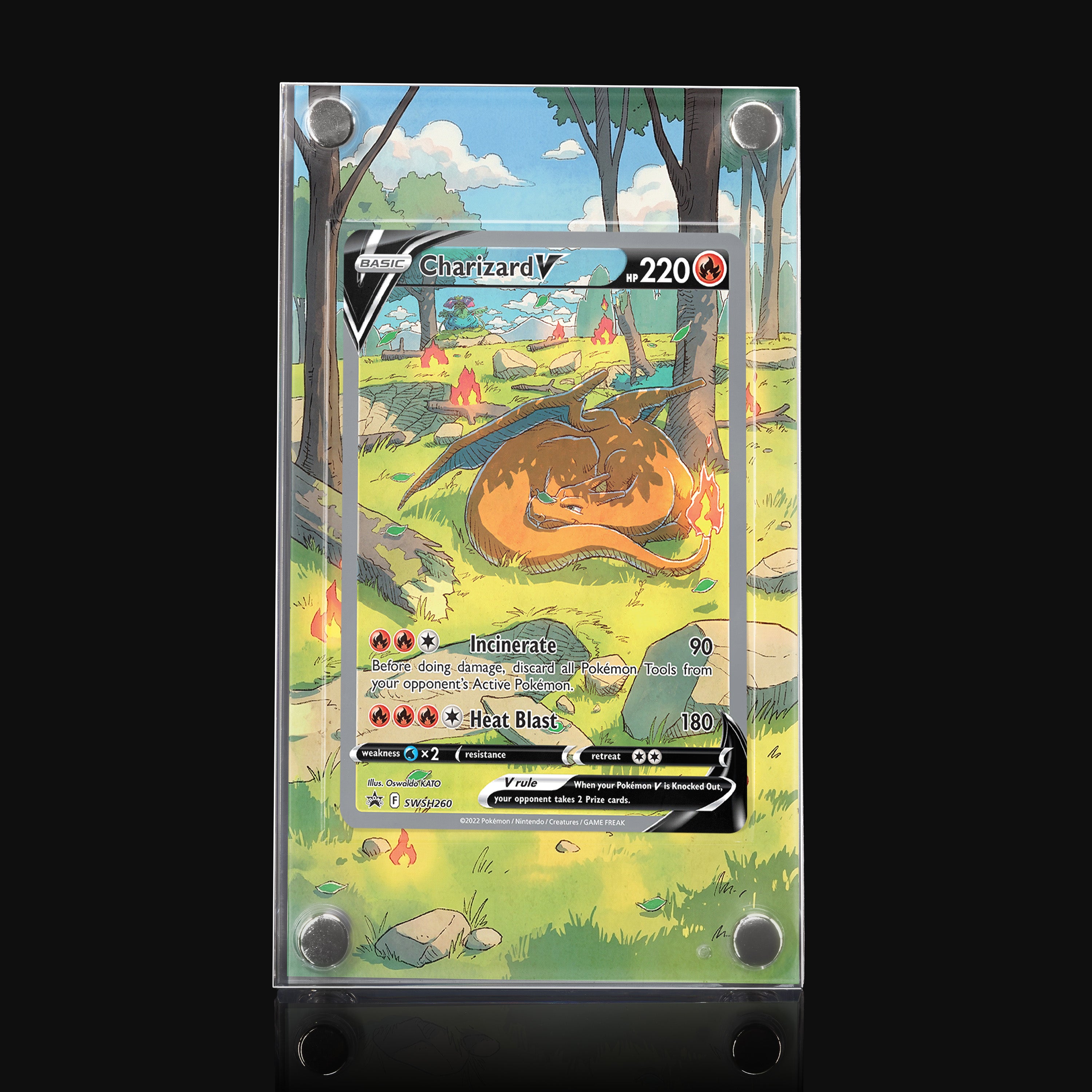 Charizard V SWSH260 Extended Art Display