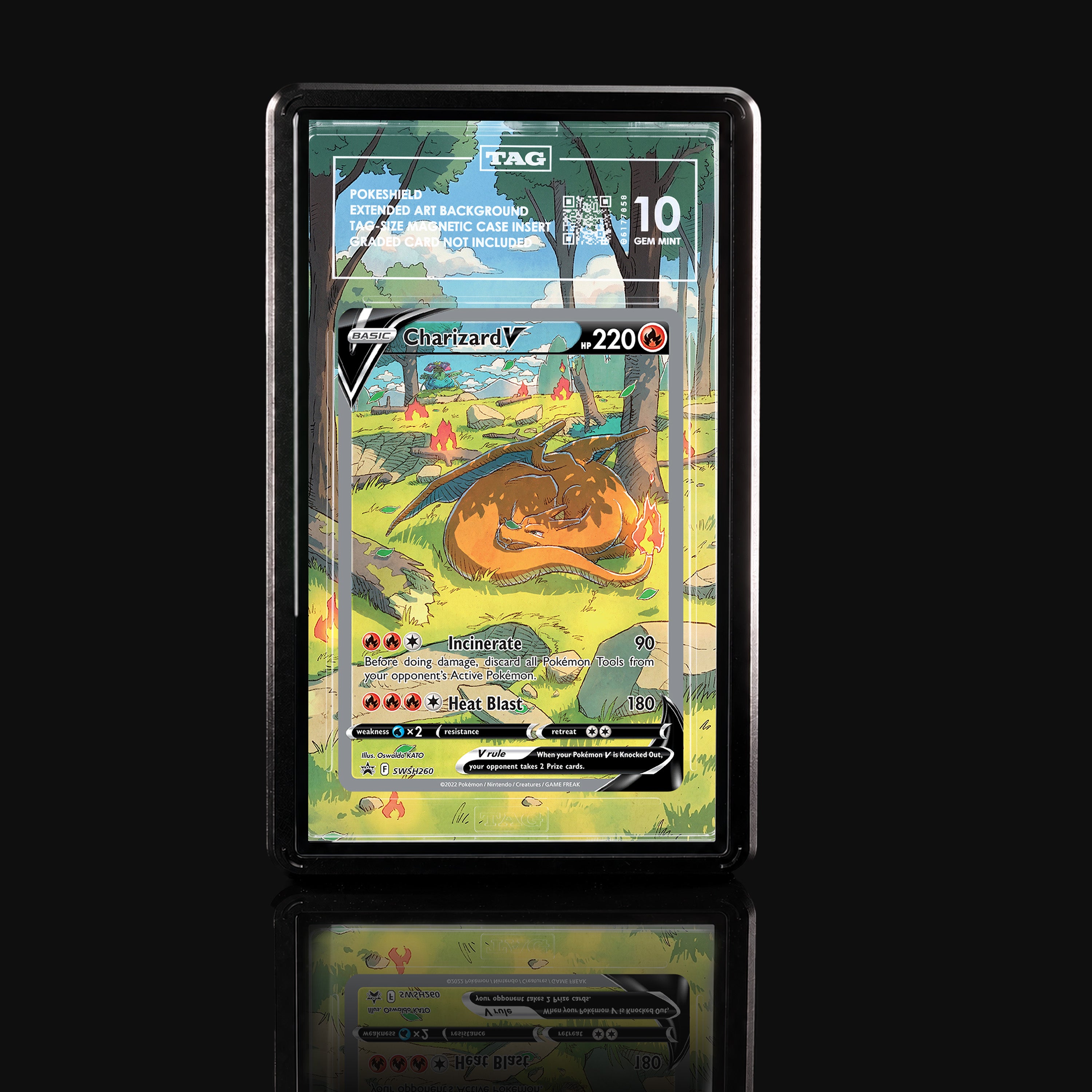 Charizard V SWSH260 Extended Art Display