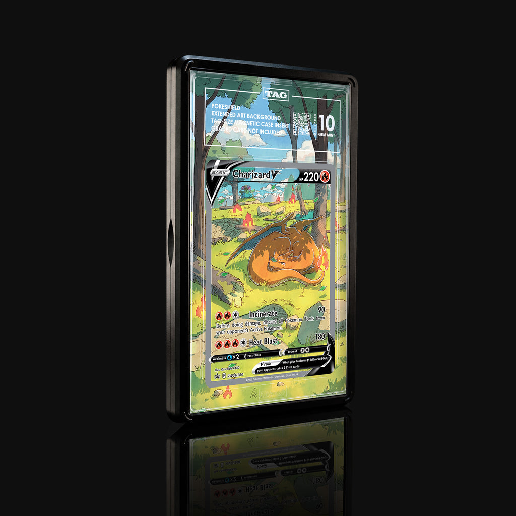 Charizard V SWSH260 Extended Art Display