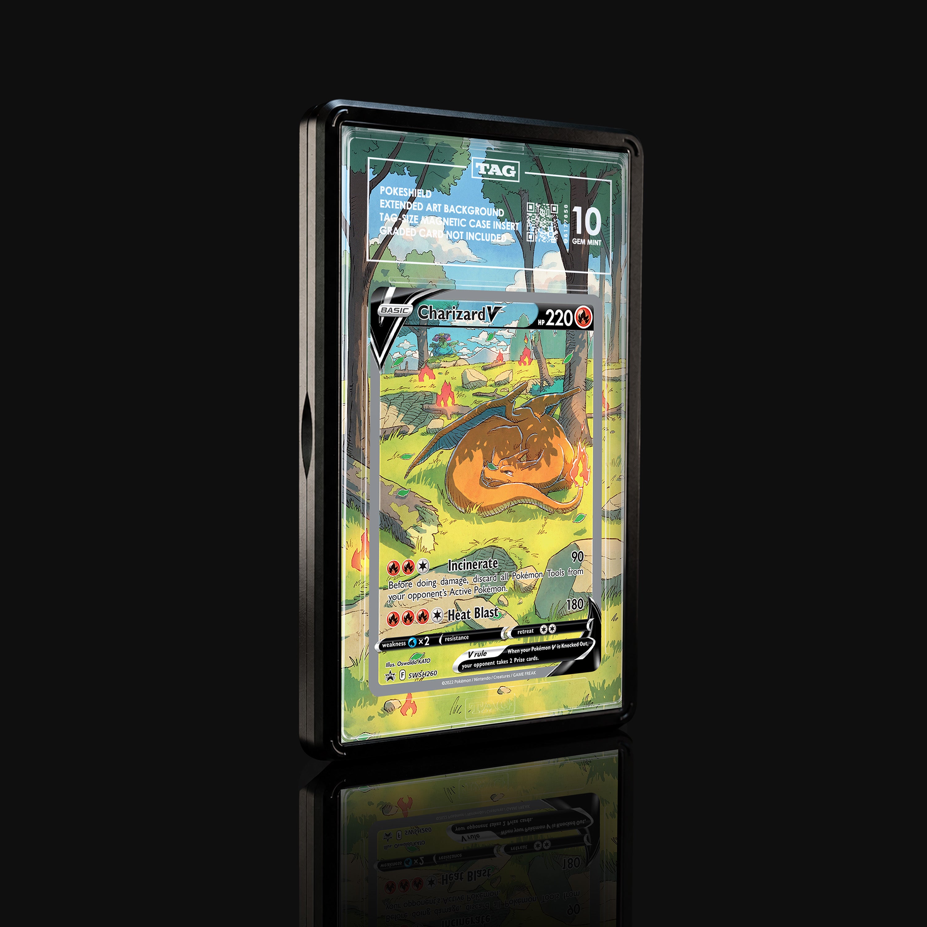 Charizard V SWSH260 Extended Art Display