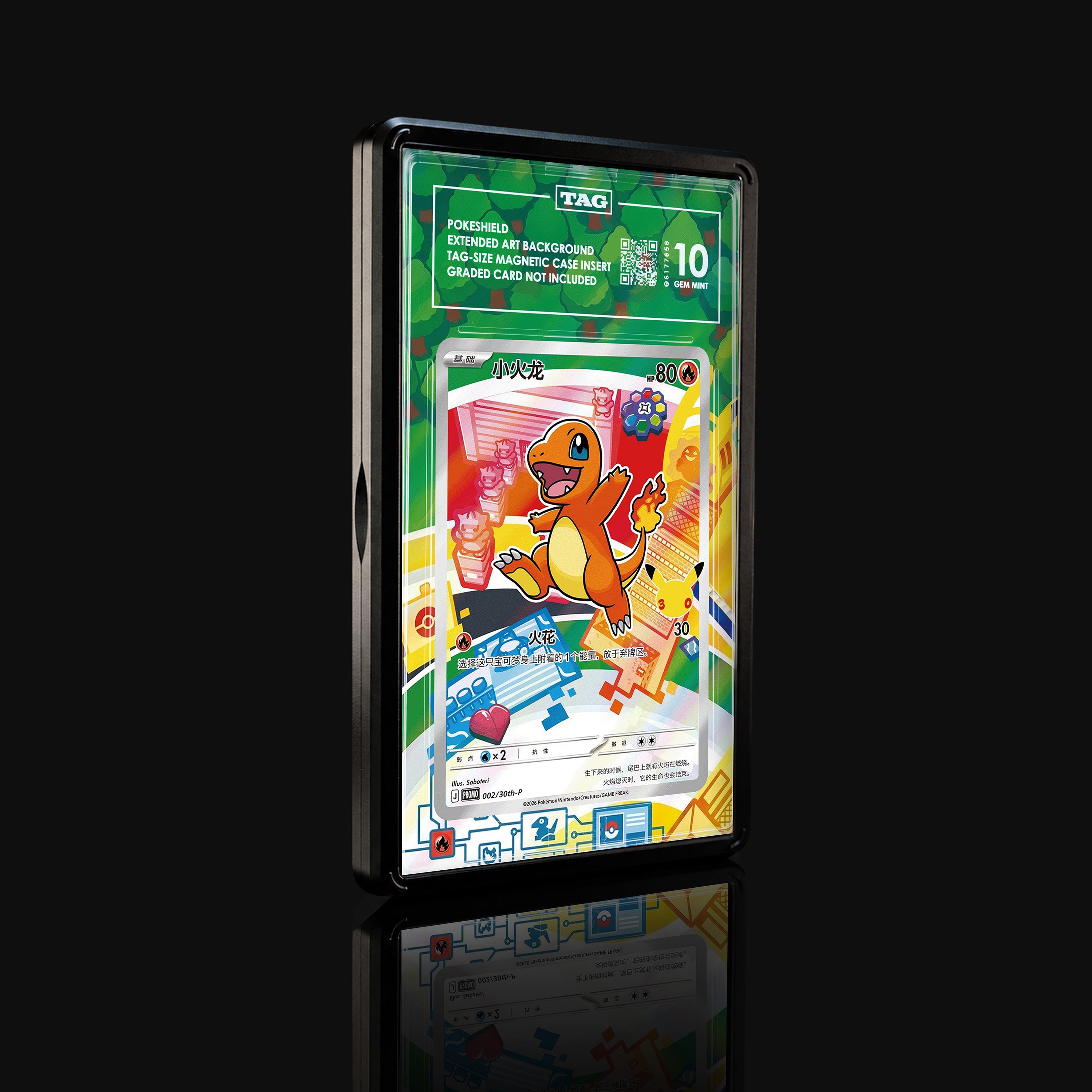 Charmander 002 Extended Art Display