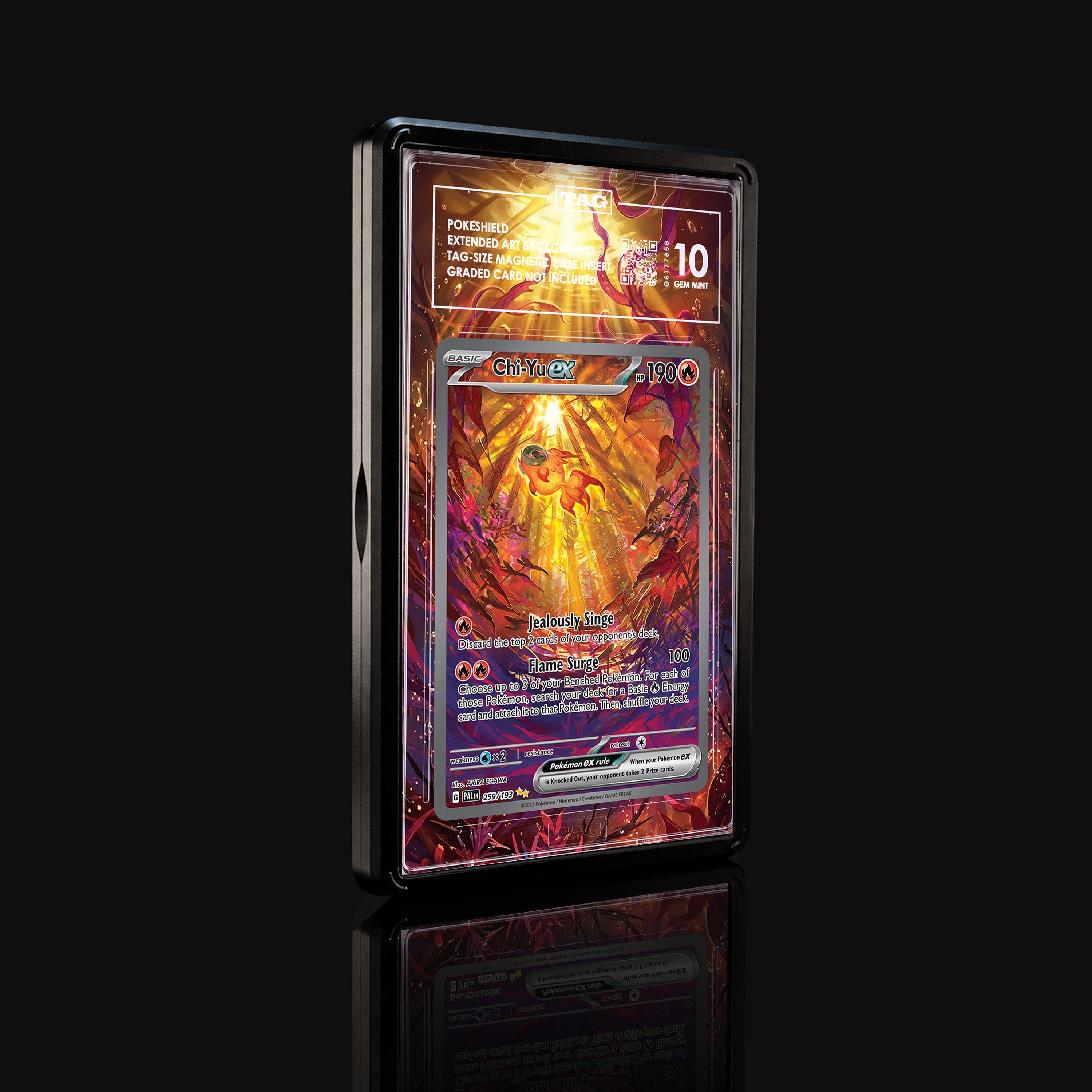 Chi-Yu ex 259 Extended Art Display