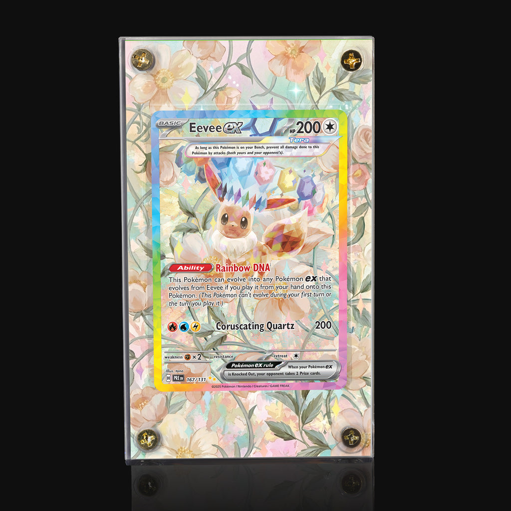 Eevee ex 167 Extended Art Display