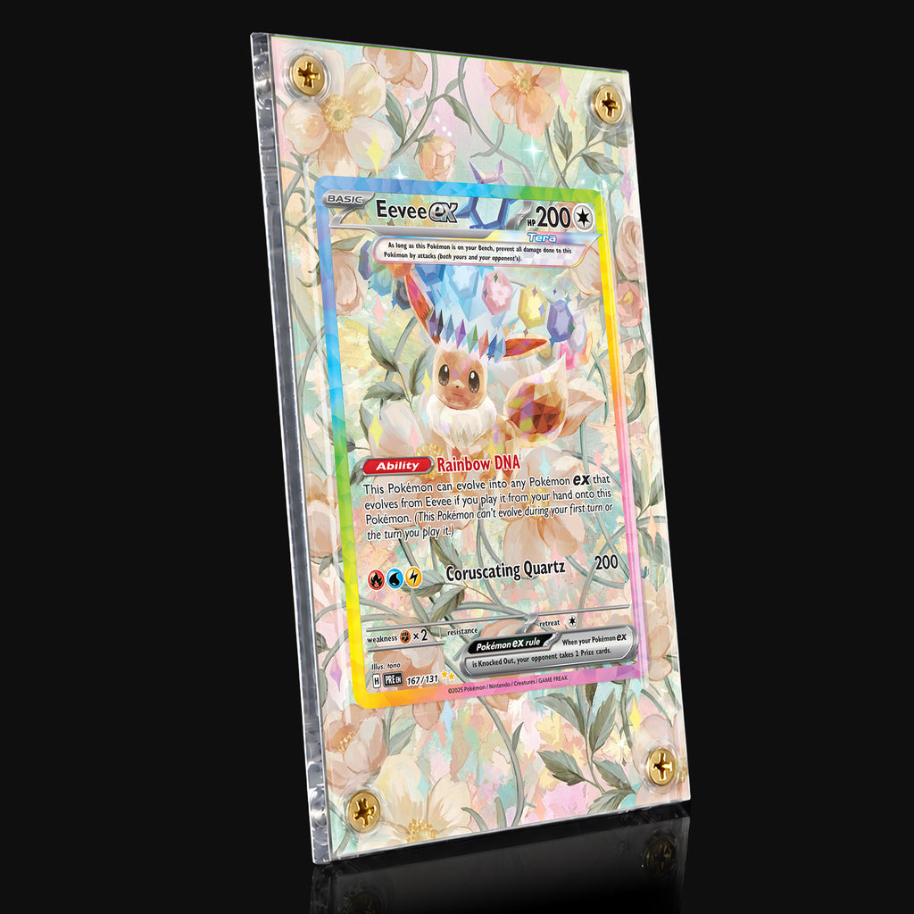 Eevee ex 167 Extended Art Display