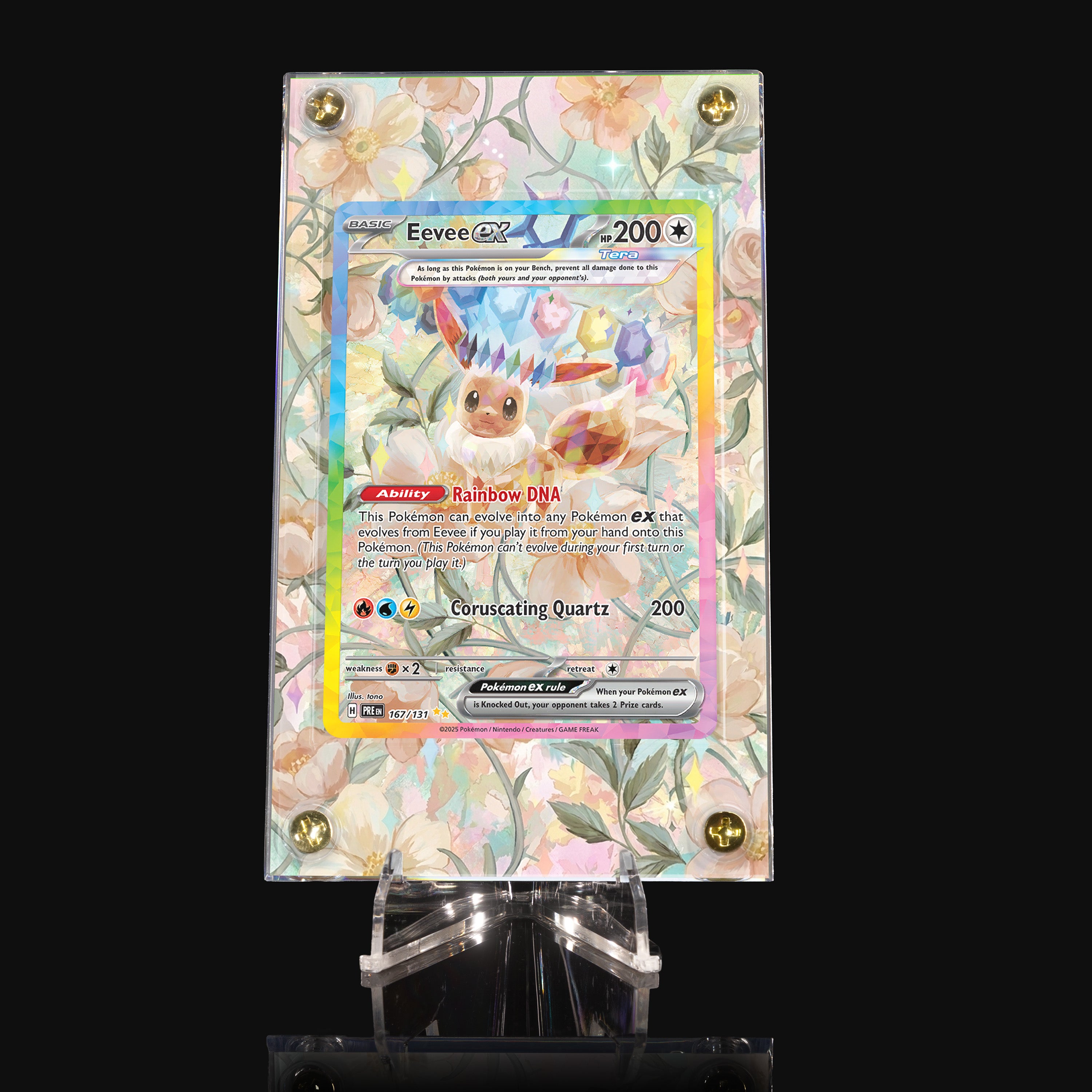 Eevee ex 167 Extended Art Display