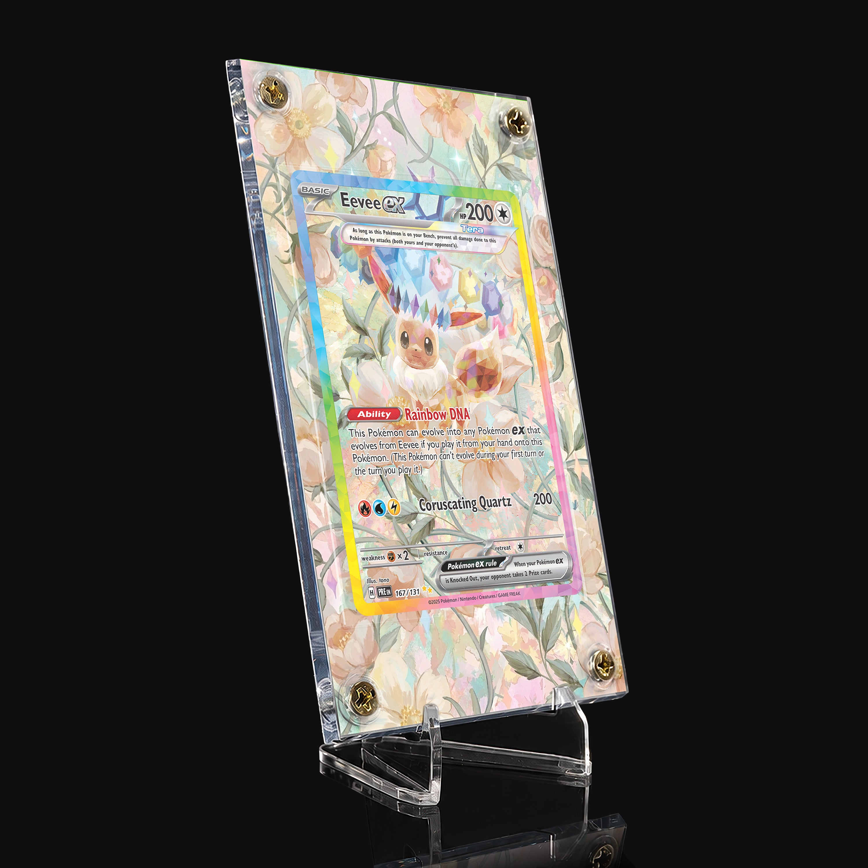 Eevee ex 167 Extended Art Display