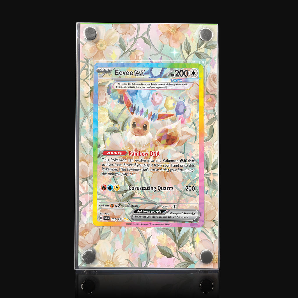 Eevee ex 167 Extended Art Display