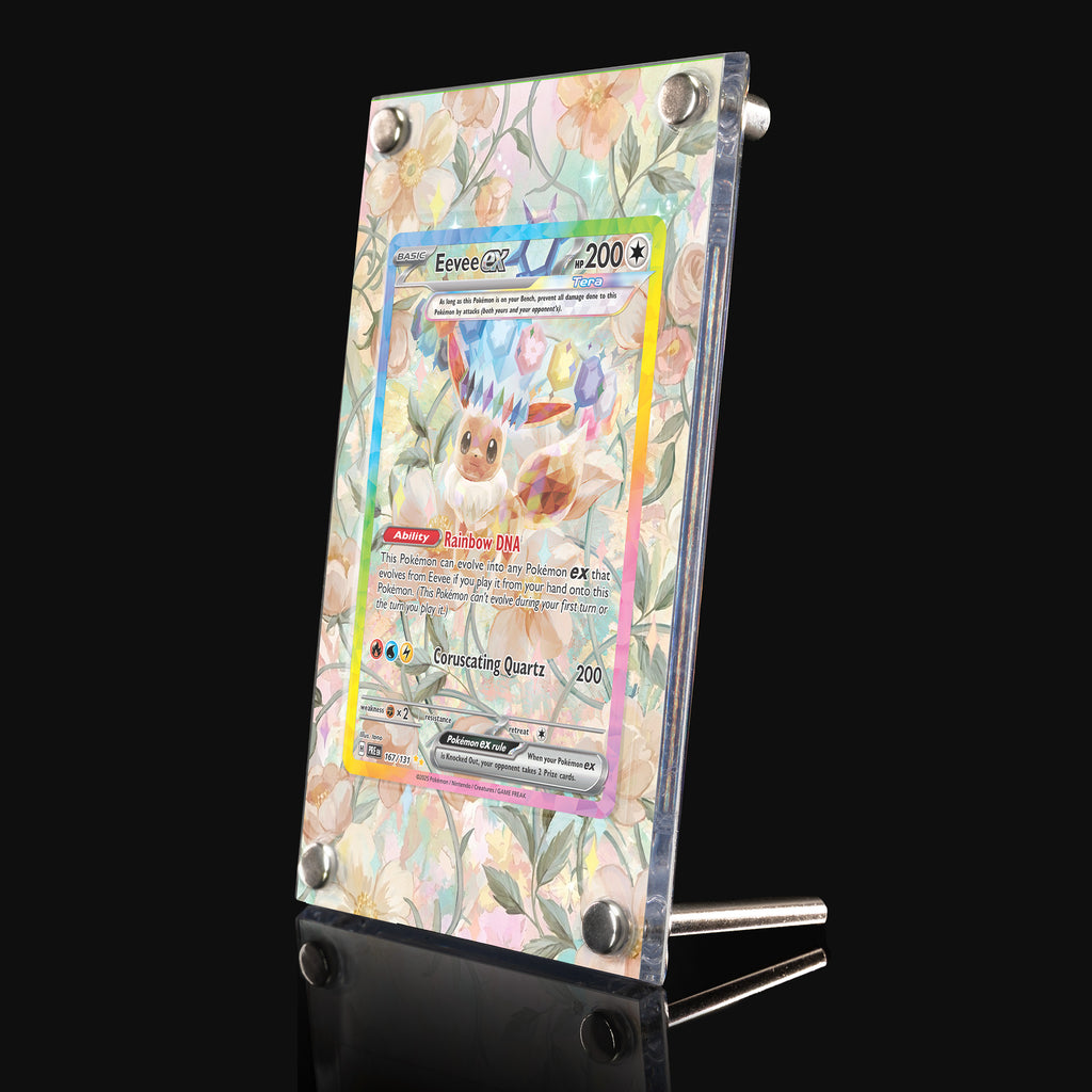 Eevee ex 167 Extended Art Display