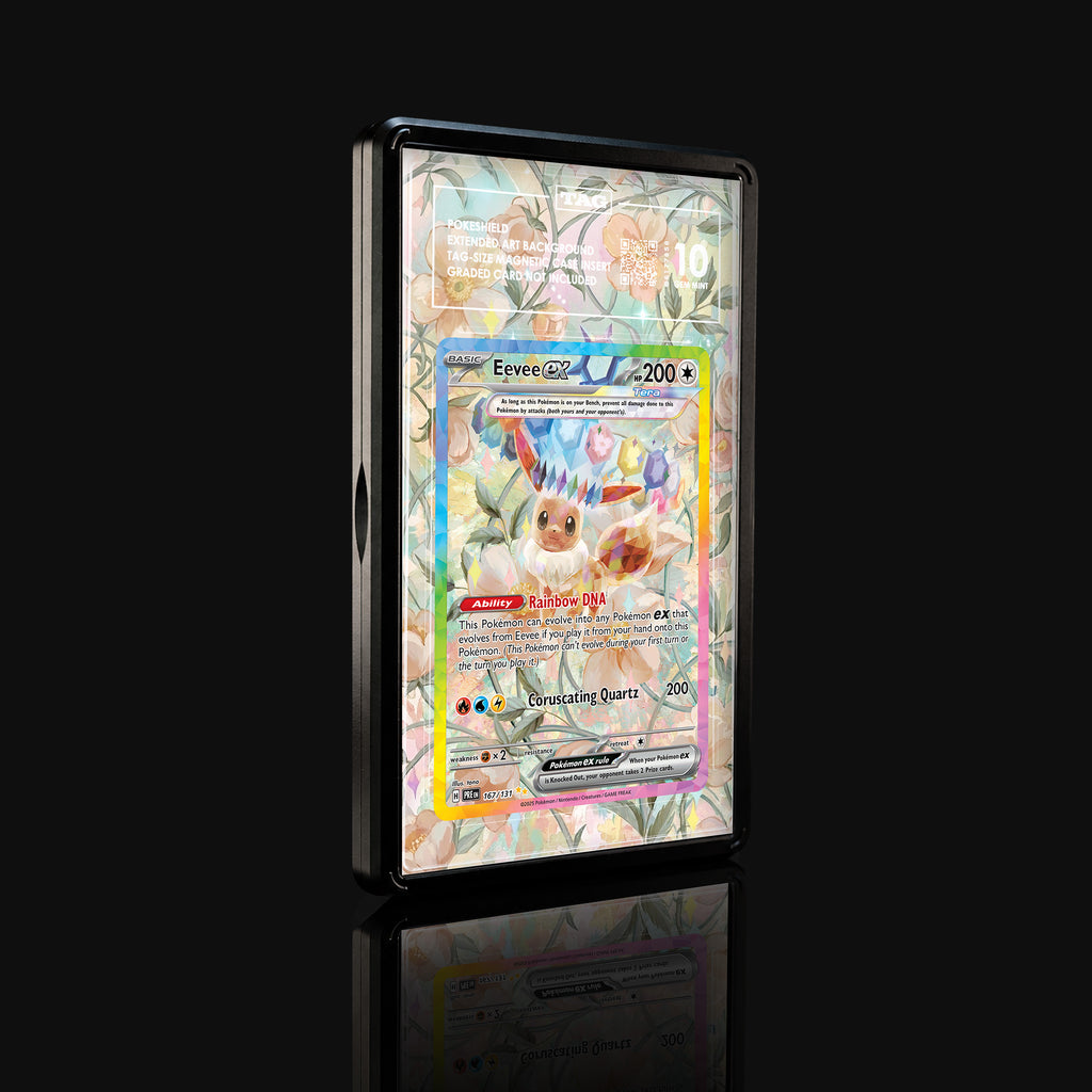 Eevee ex 167 Extended Art Display