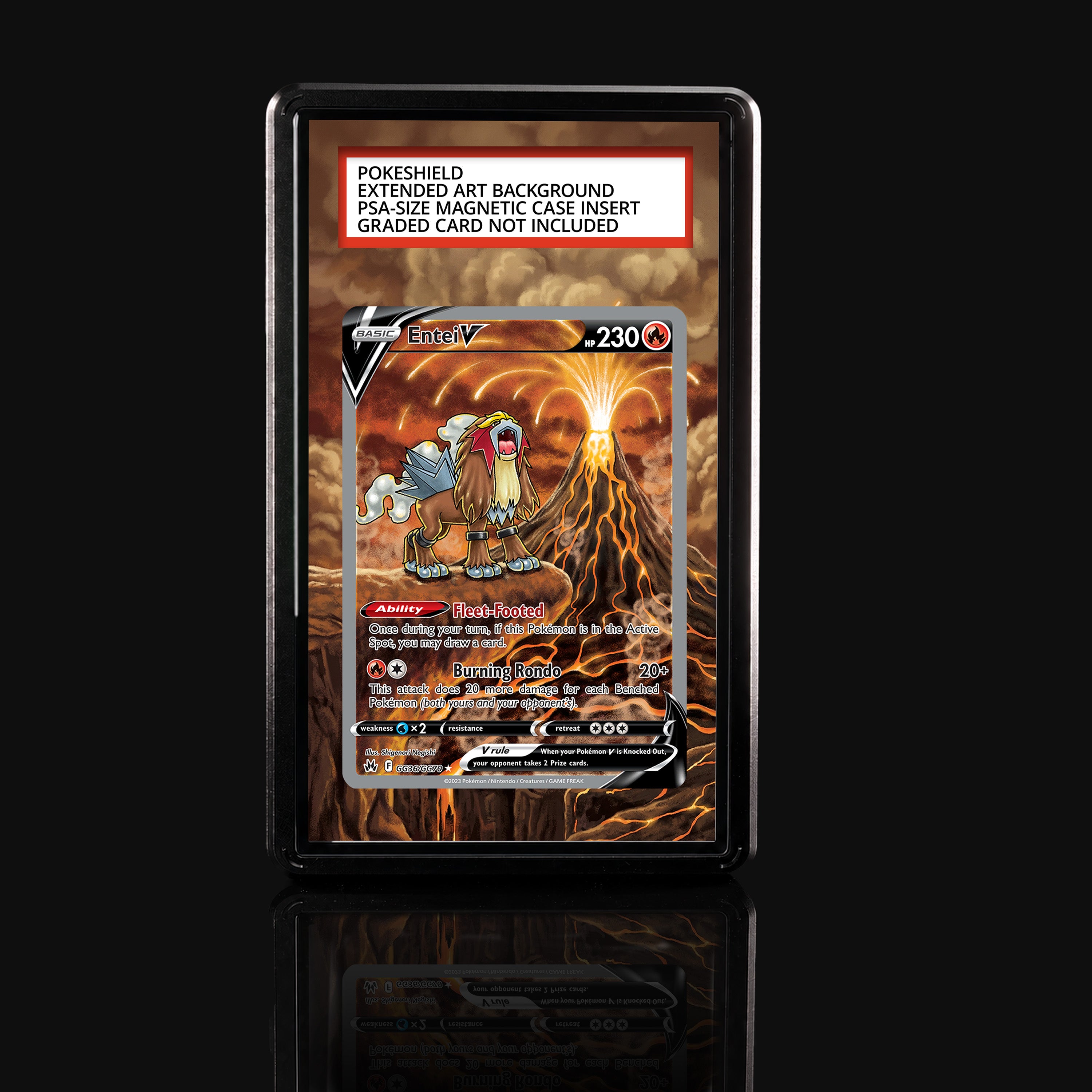 Entei V GG36 Extended Art Display