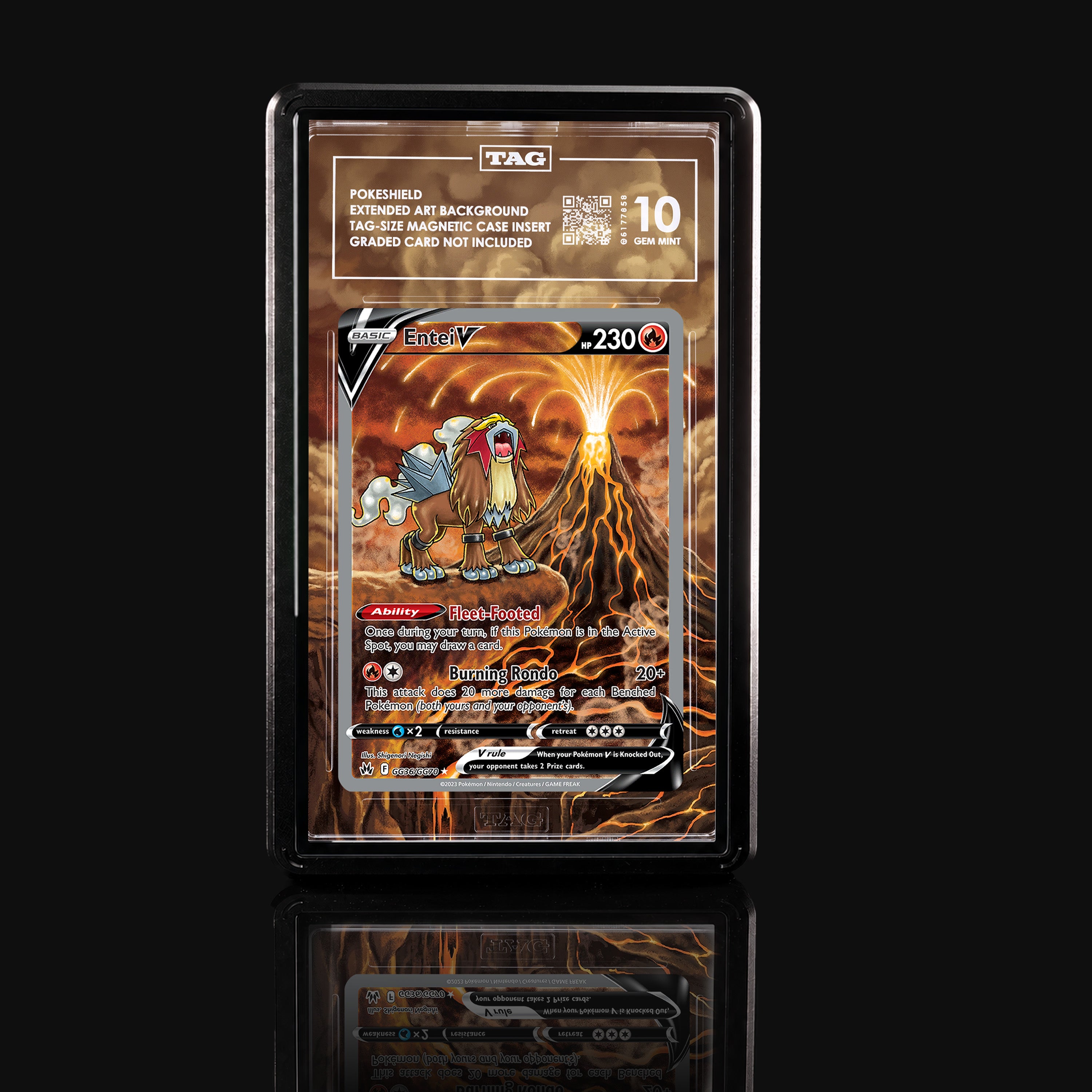Entei V GG36 Extended Art Display