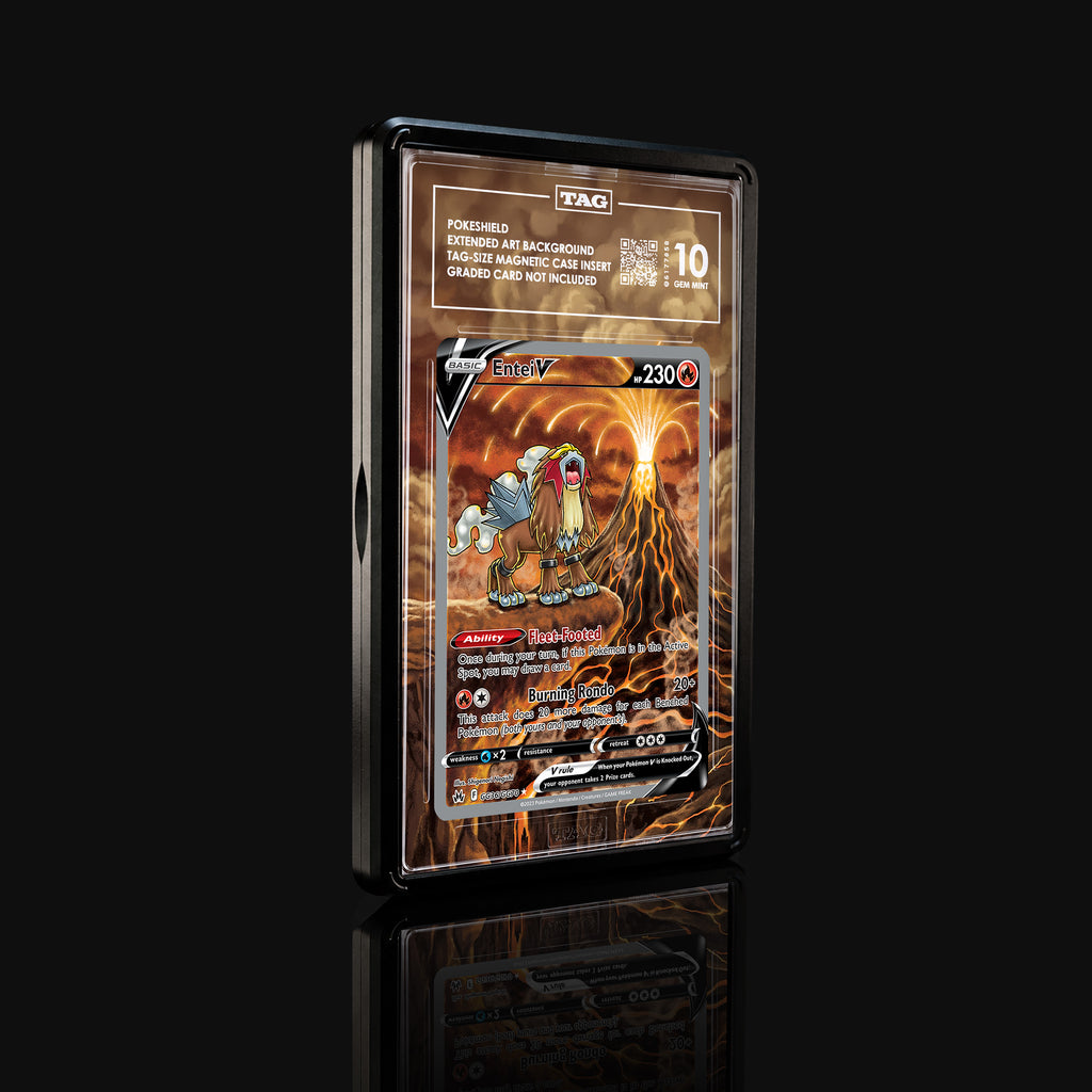 Entei V GG36 Extended Art Display