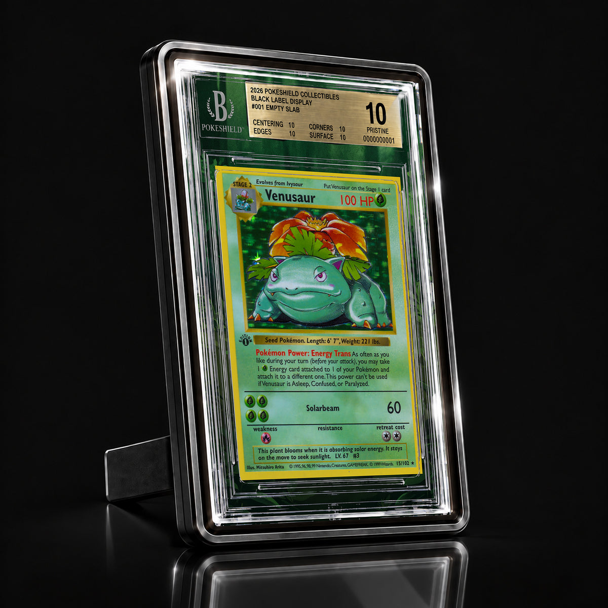 Venusaur 15/102 Base Set Extended Art Display