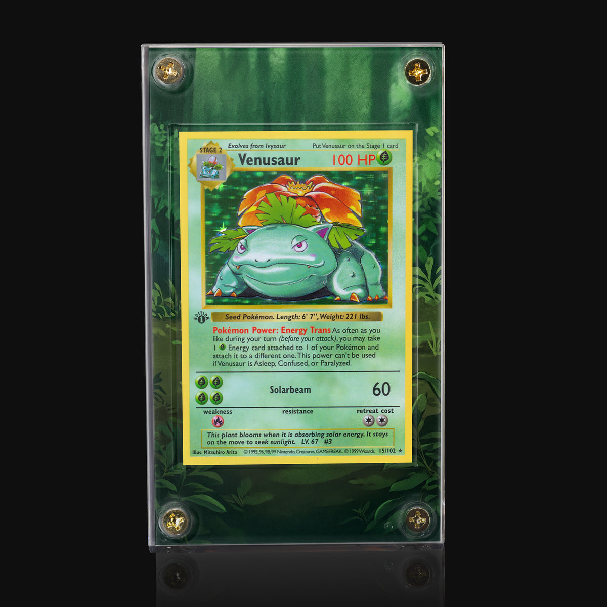 Venusaur 15/102 Base Set Extended Art Display